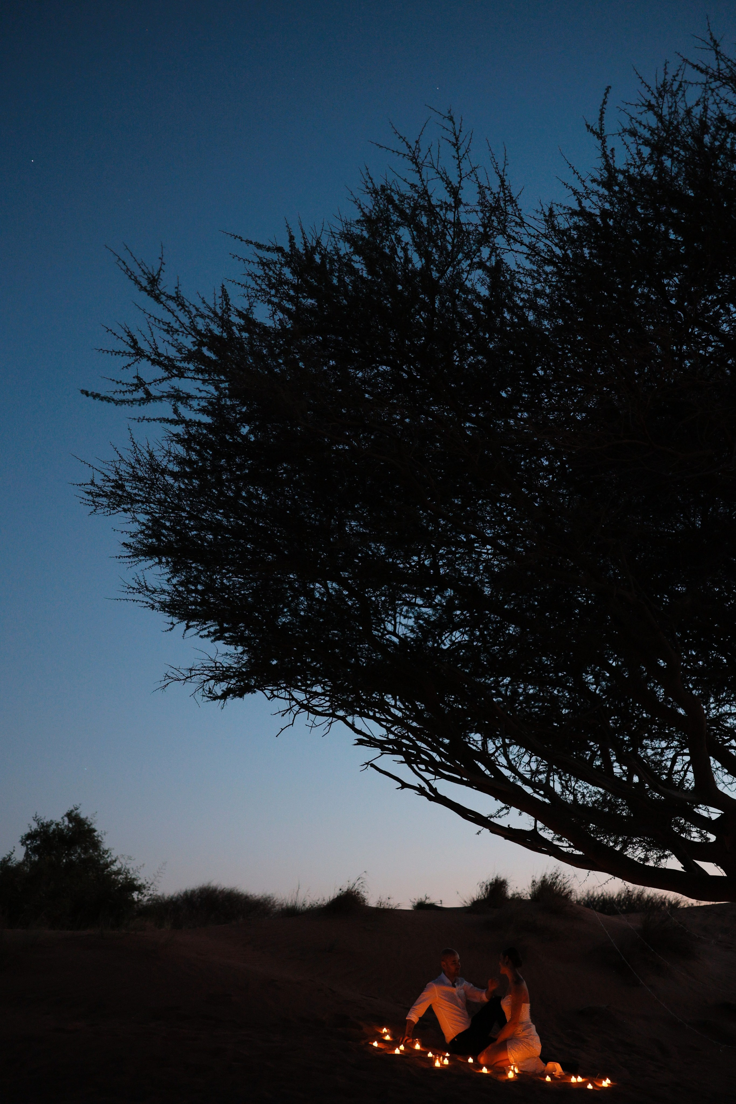 Портфолио. Свадебный фотограф в Крыму