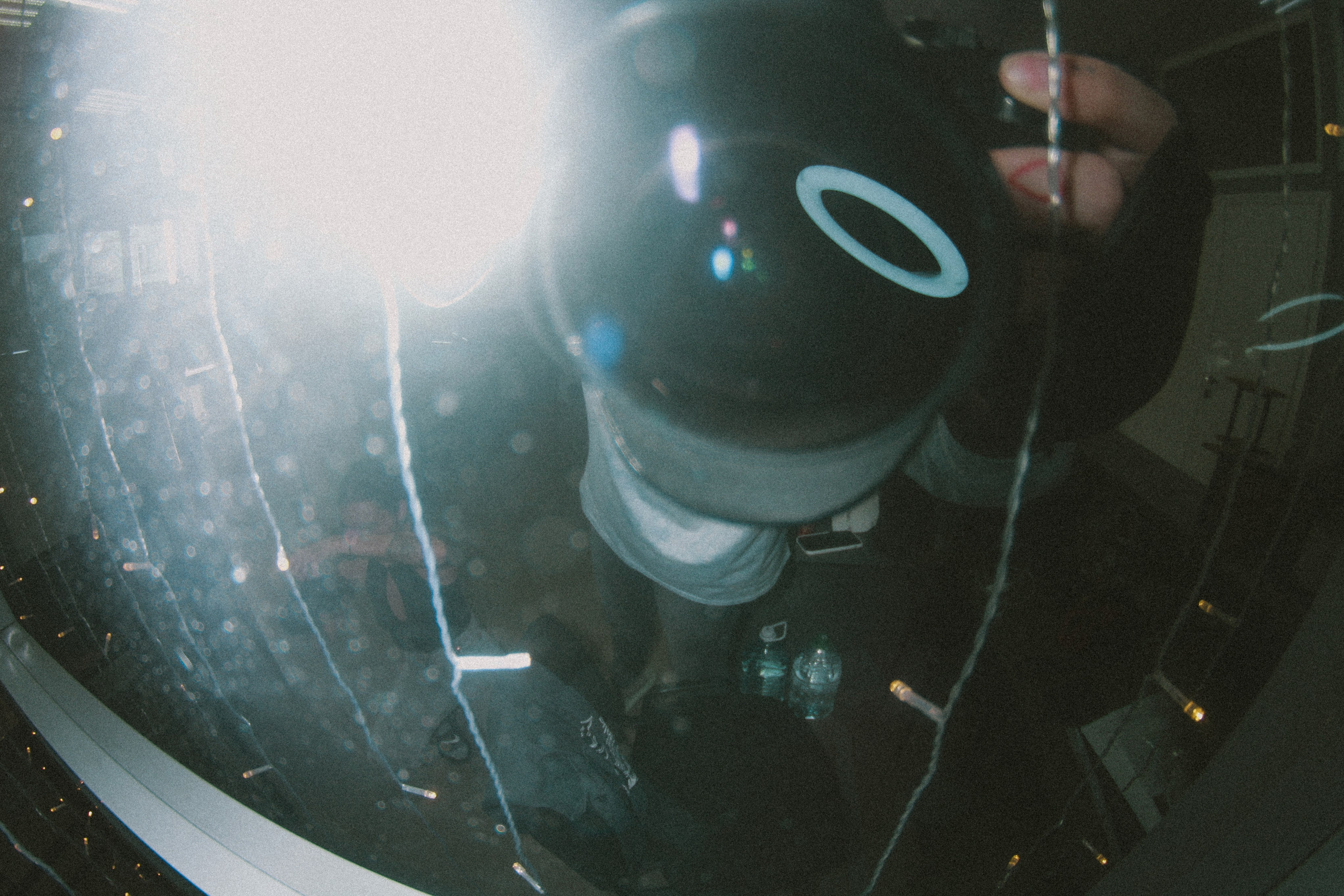 Bobo. Фотограф Мурманск | Нижний Новгород • Анна Хижняк