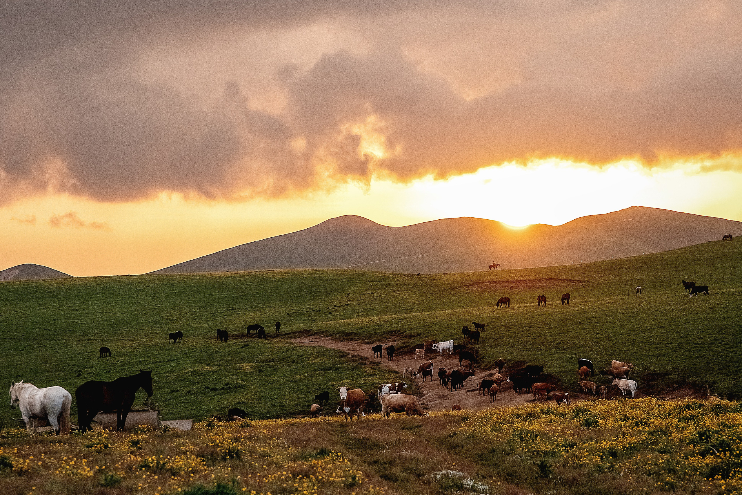 Плато Бийчесын. BrisArts