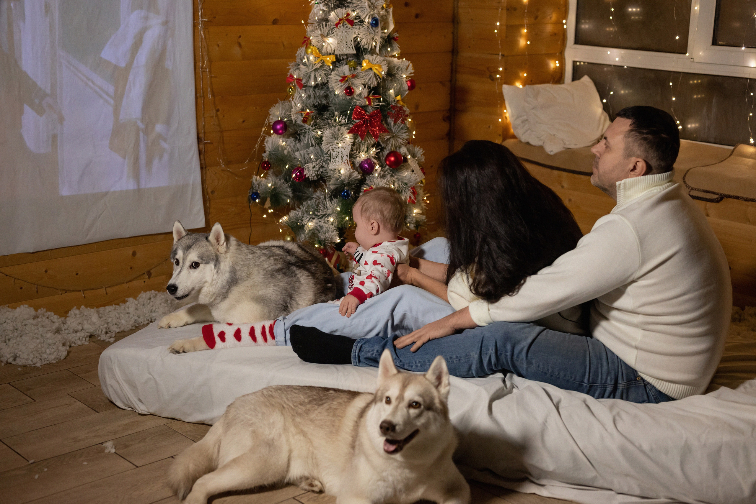 Фотопроект с хаски 2025 г. Фотограф в городе Салават