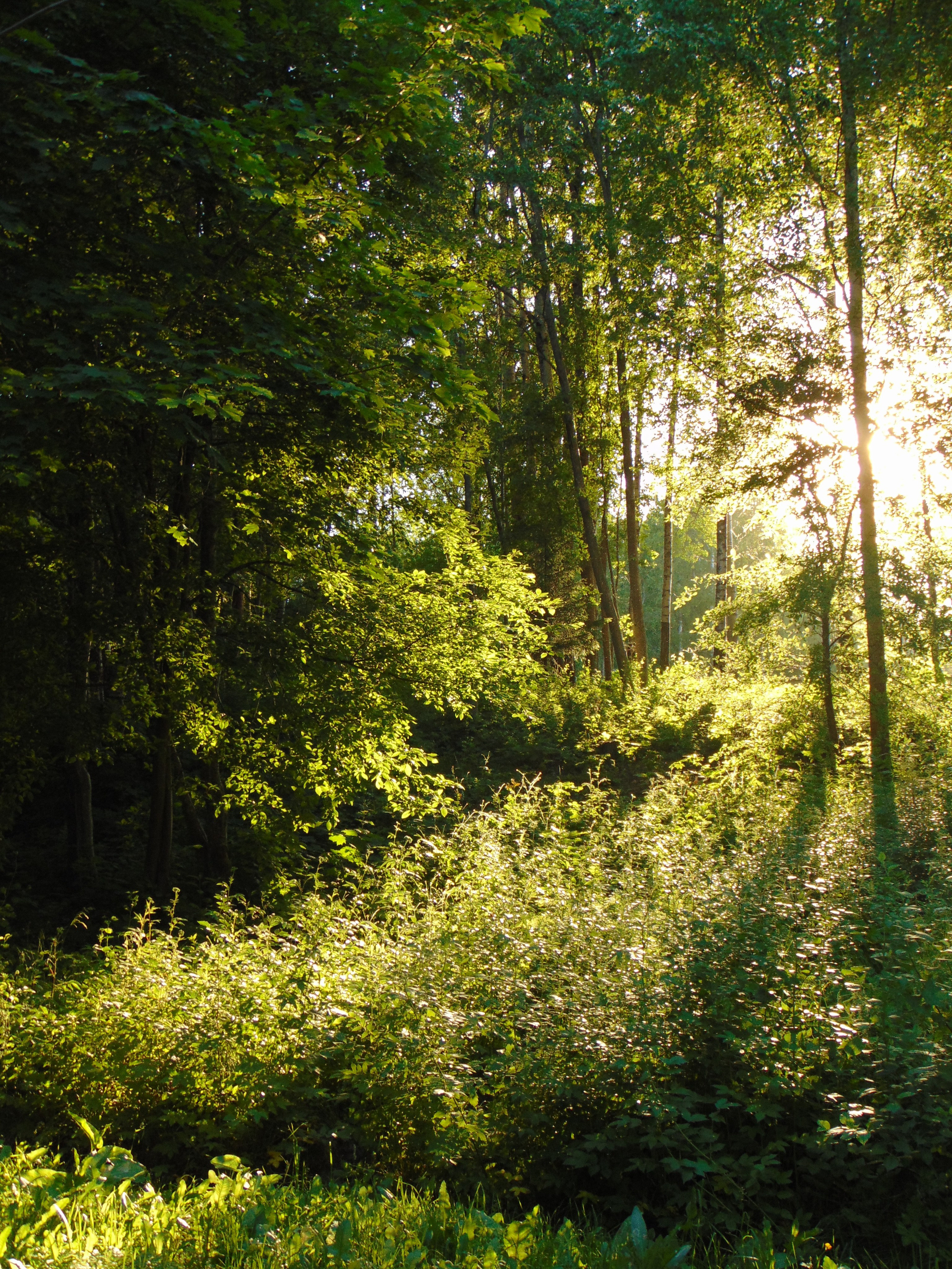 Пейзажи. Фотограф из Санкт-Петербурга — Виктория Горелкова
