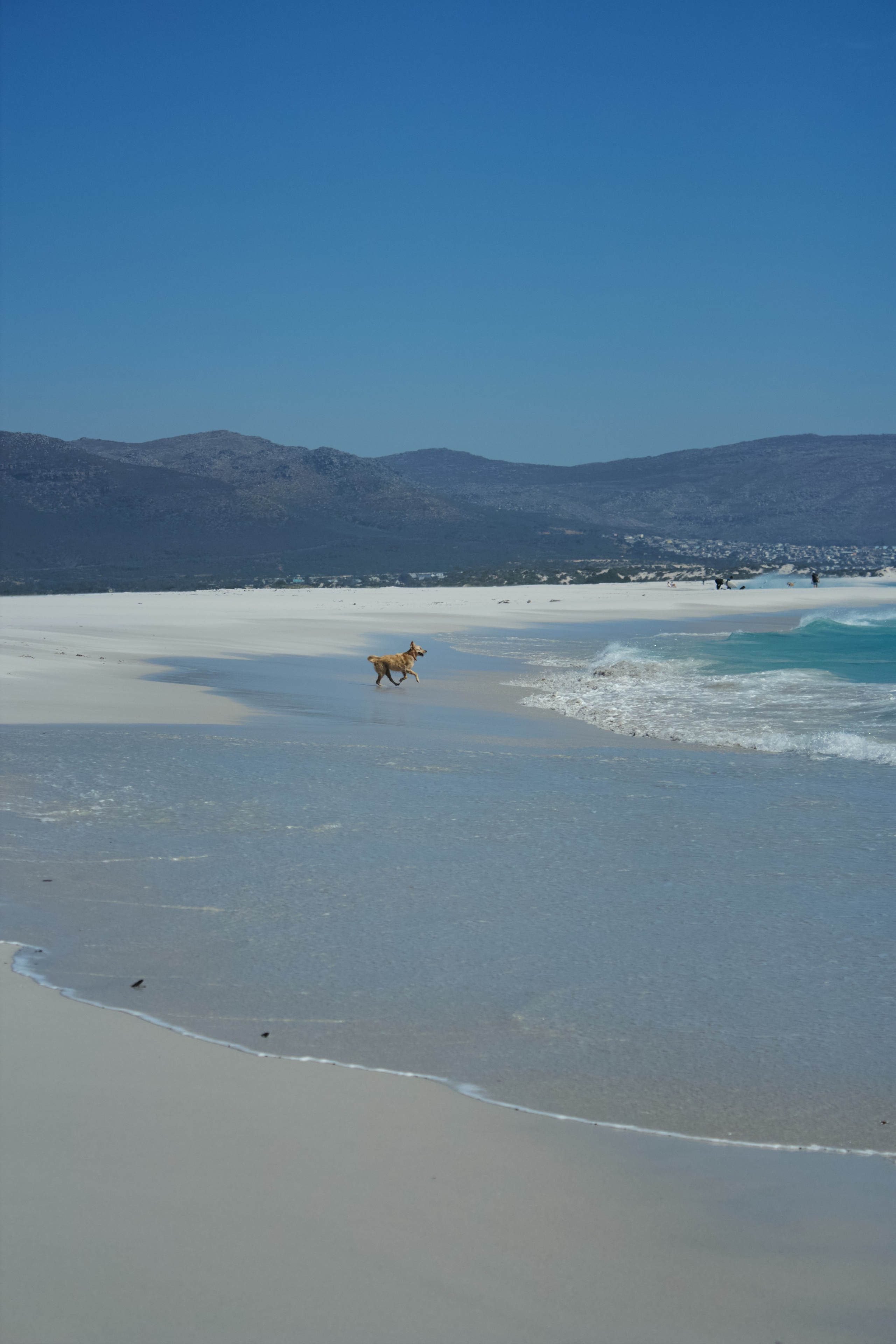 ЮАР. Профессиональный Фотограф во Владимире, в Москве и в Суздале — Полина Романычева