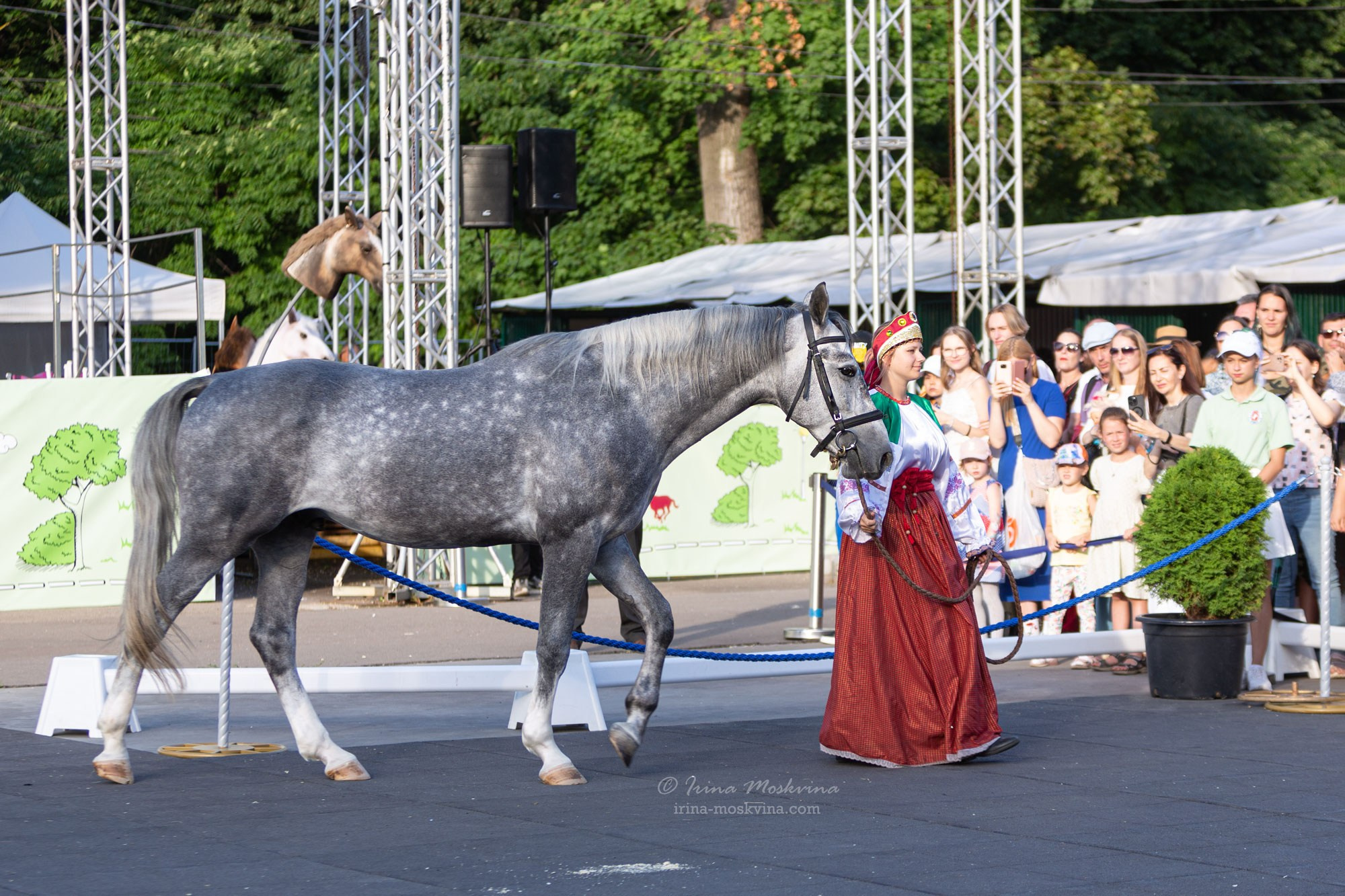 Орловский рысак