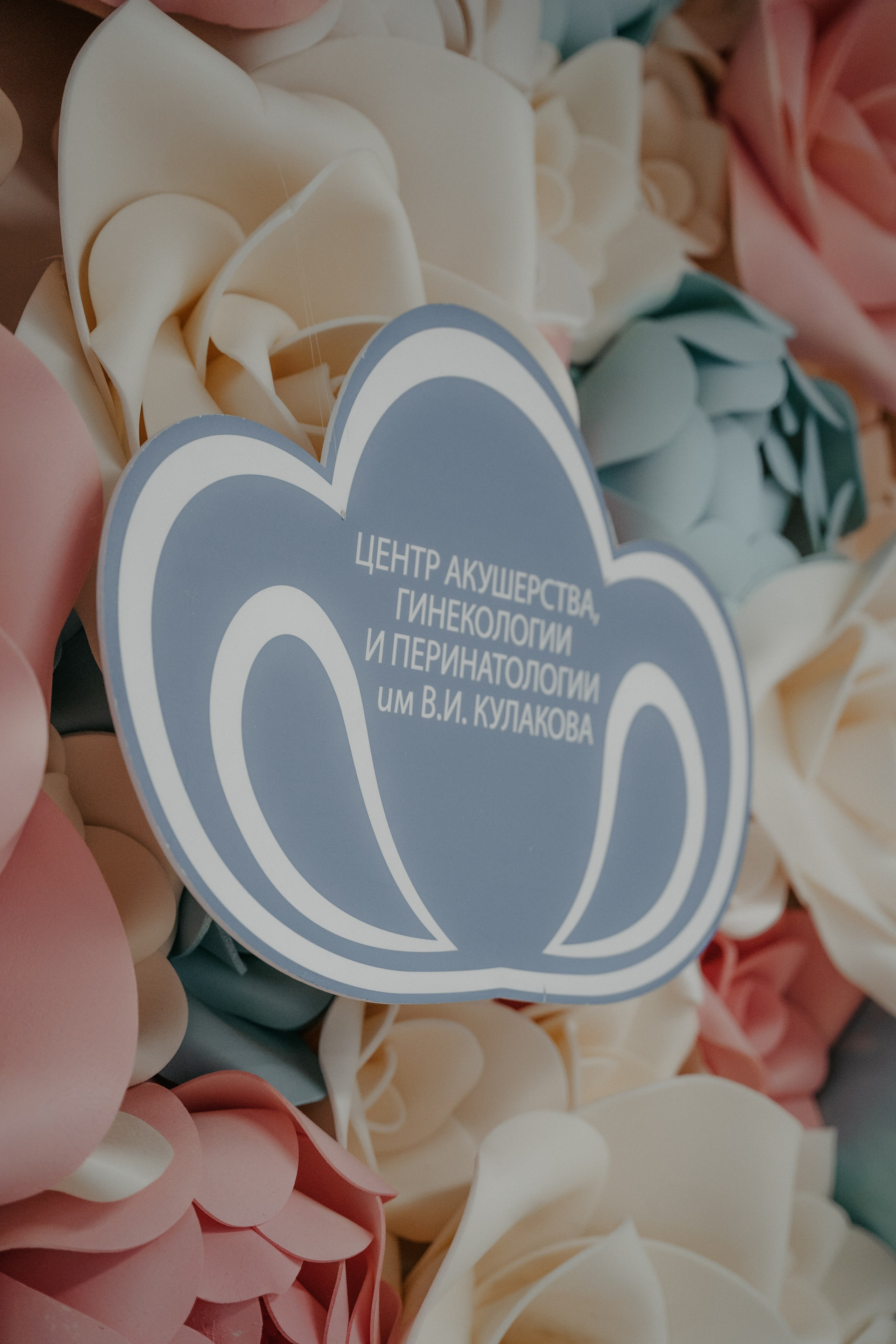 Вика и Дима. Аплас Анастасия