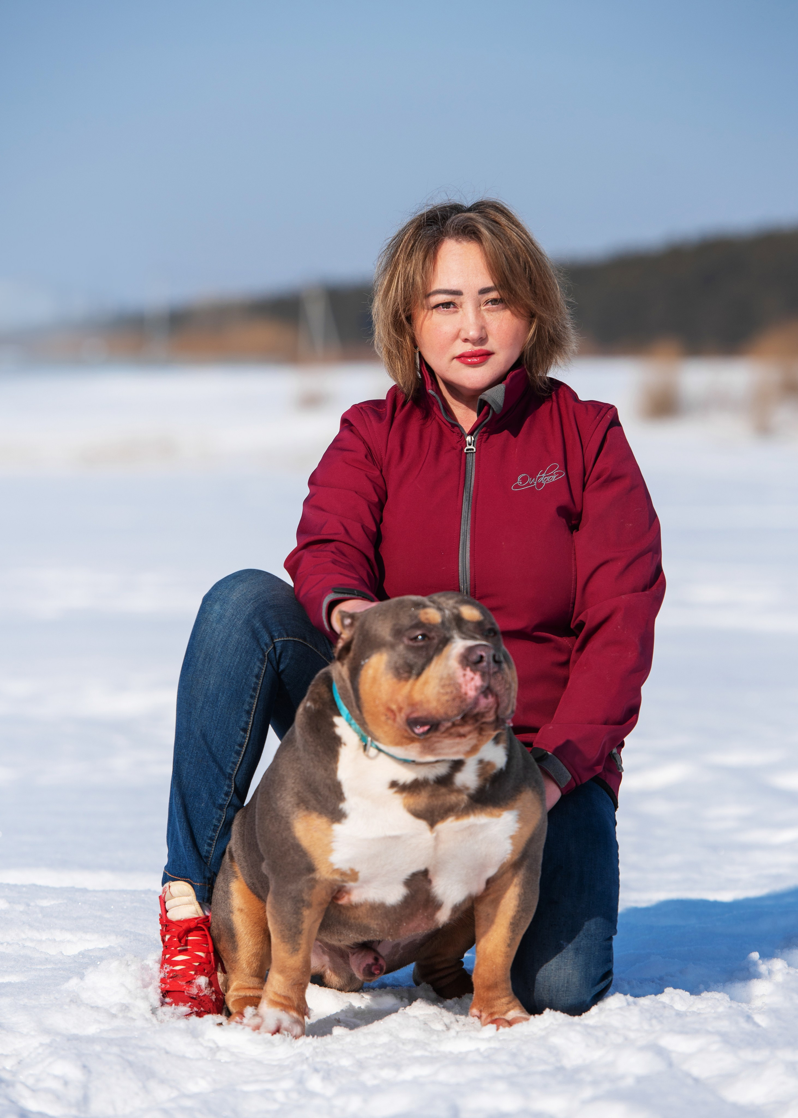 Булли. Дог-фотограф в Тюмени Александра Королева