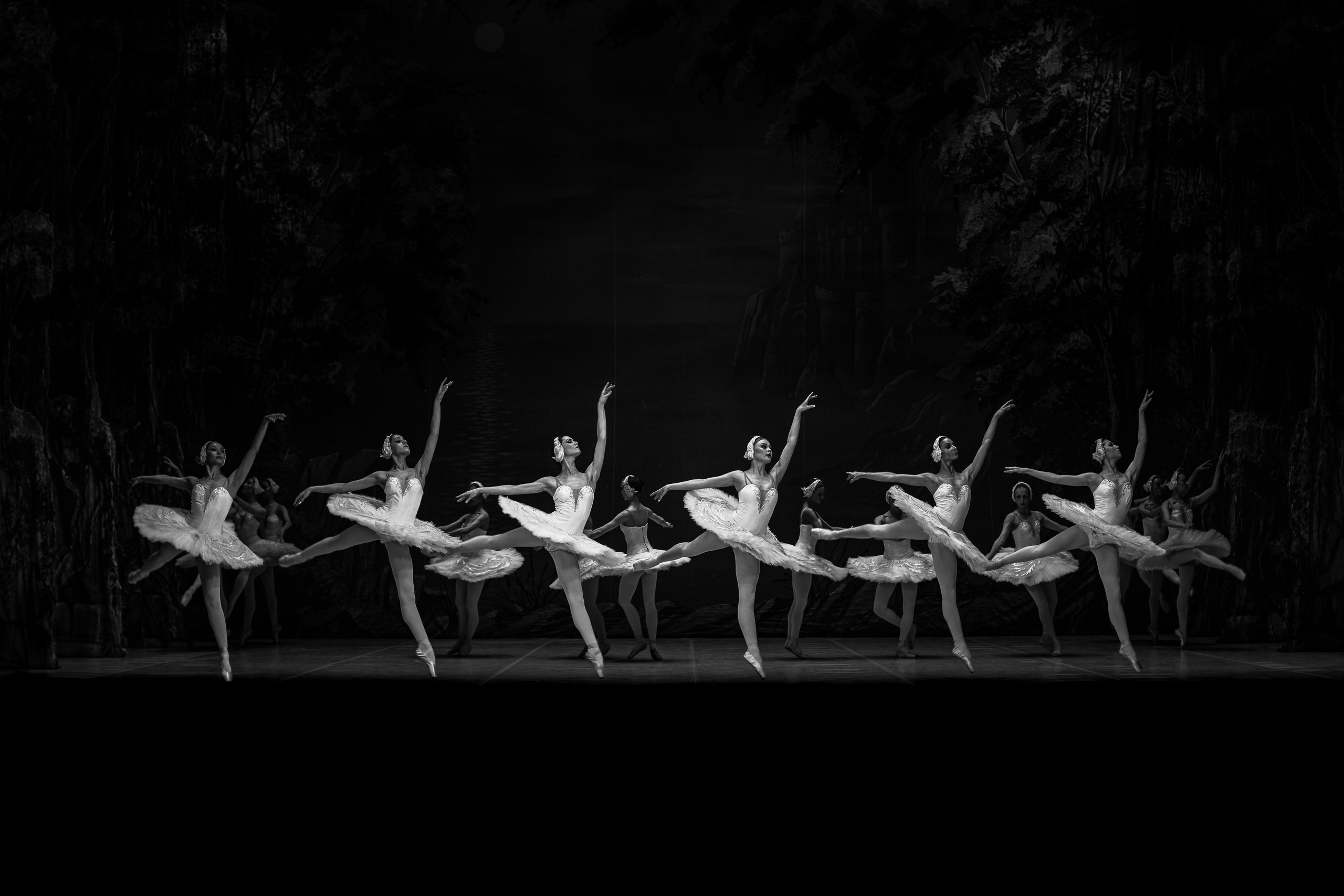 Балет «Лебединое озеро». Наталья Алексеенко. Фотохудожник в Москве. Репортаж, портрет, стрит