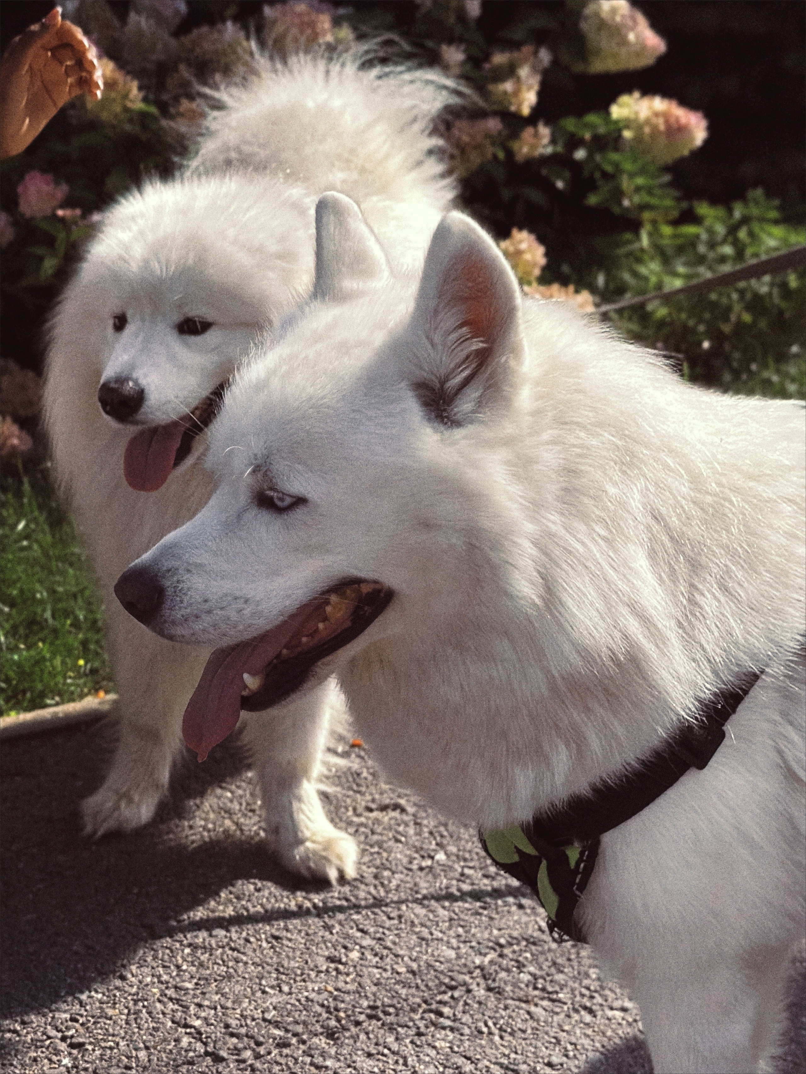 Августовская. Чувственный мобильный фотограф в Казани и Сочи Дьяченко Дарья