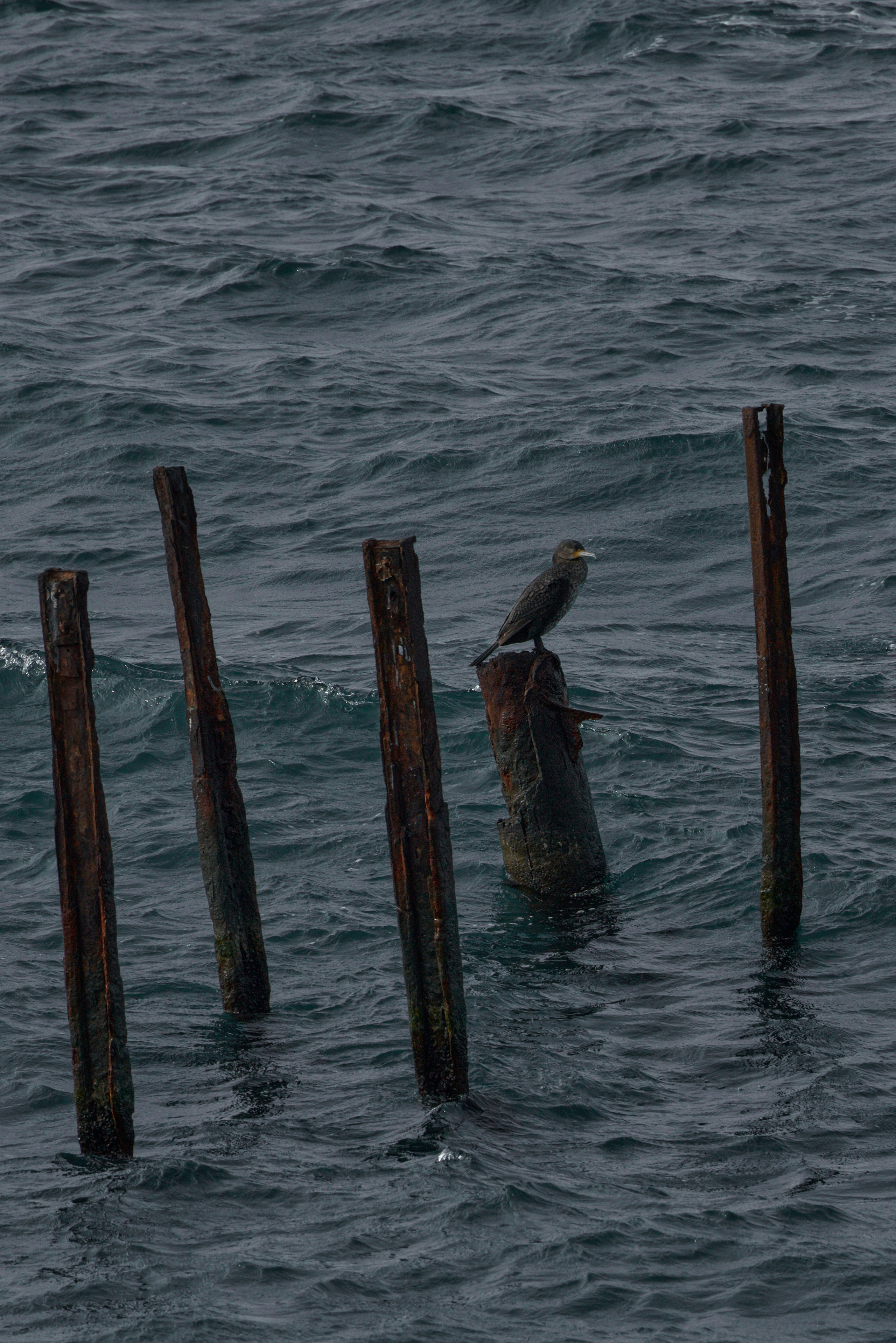 Цветные фотографии Анапы. Профессиональный фотограф в Анапе Артем Ковальский