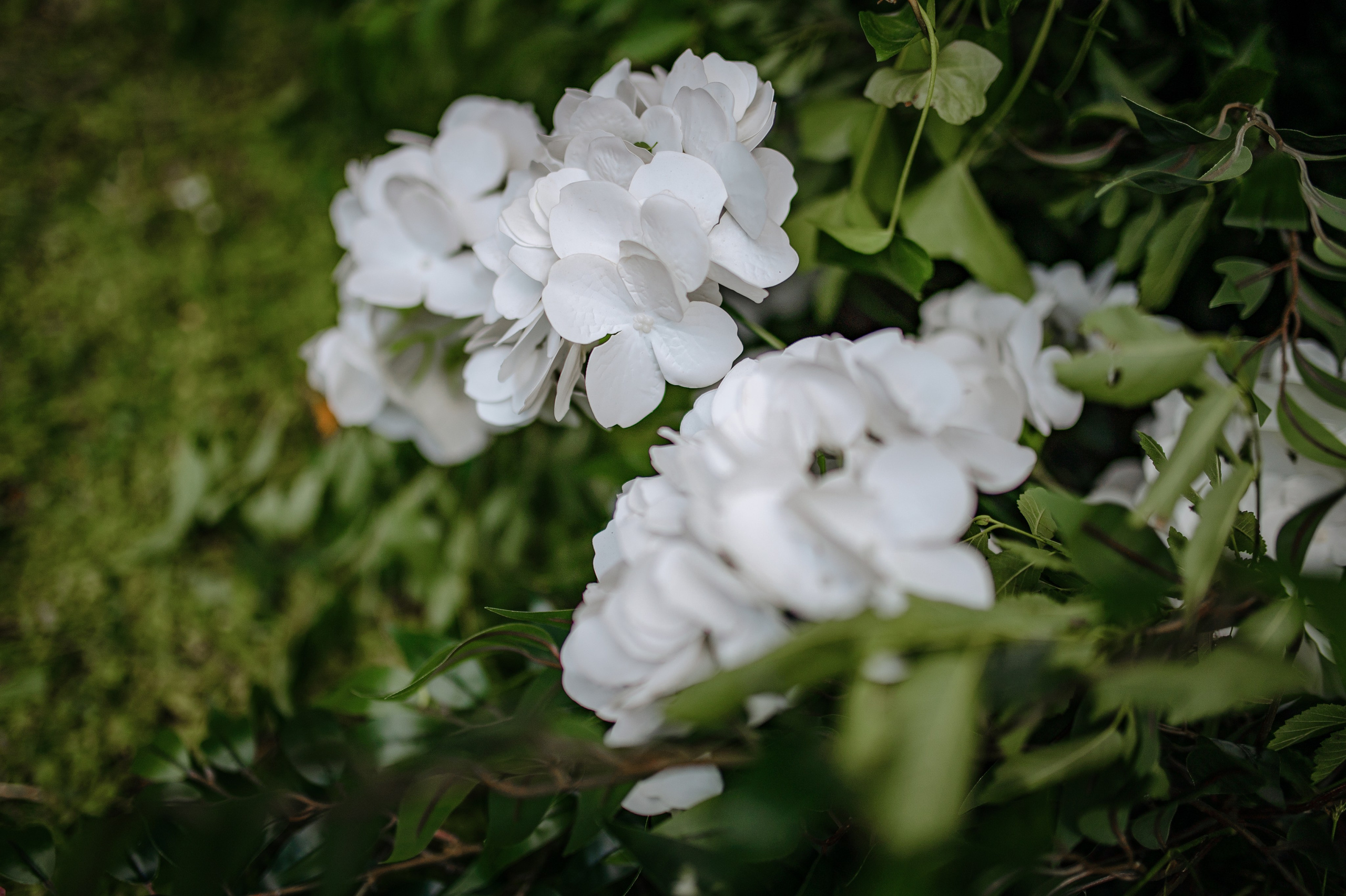 Съёмка свадебного декора. 100-й пруд. Свадебный фотограф Константинова Елена