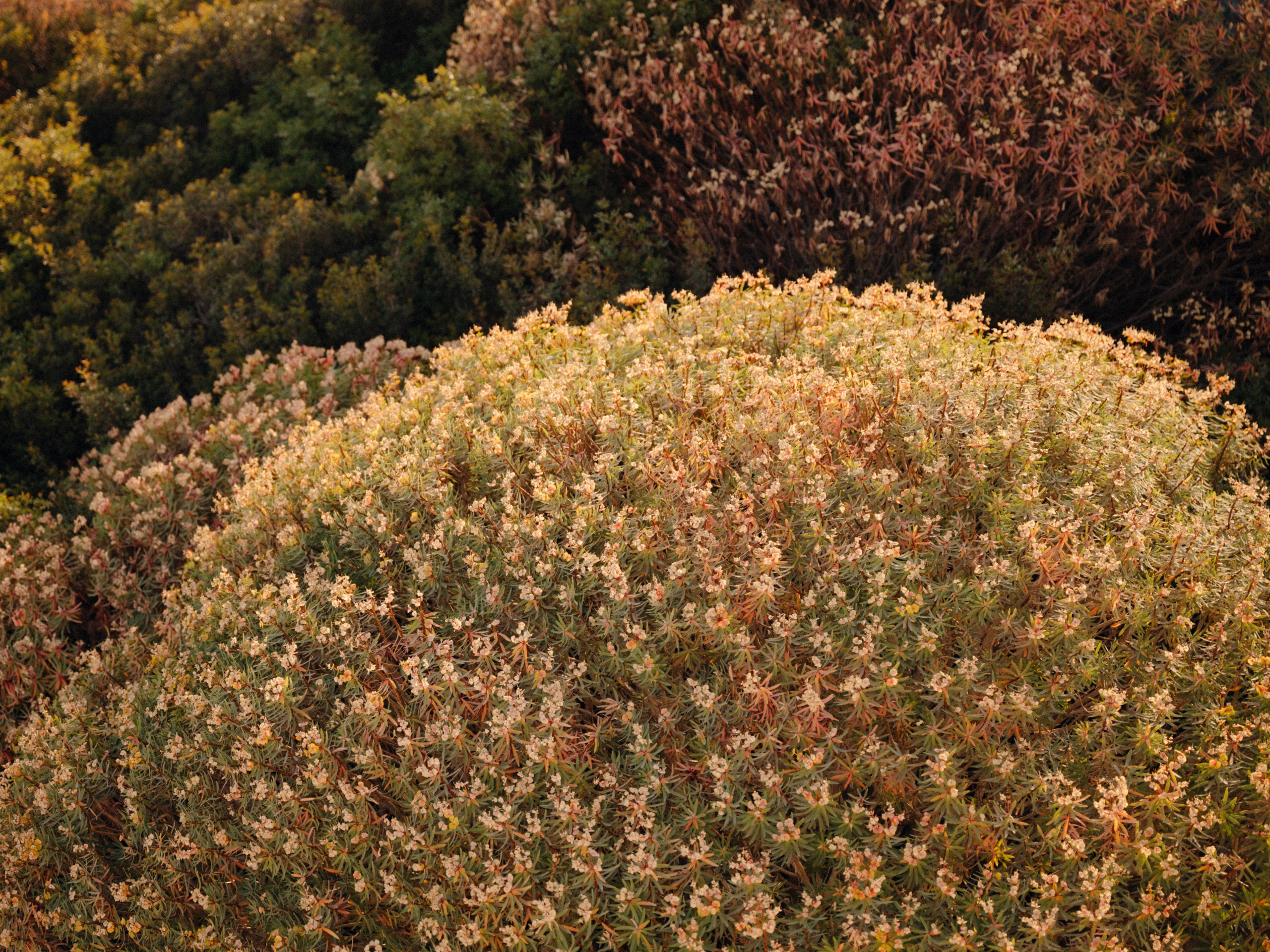 Полечу за тобою. Свадебный фотограф в Минске Тагай Наталья