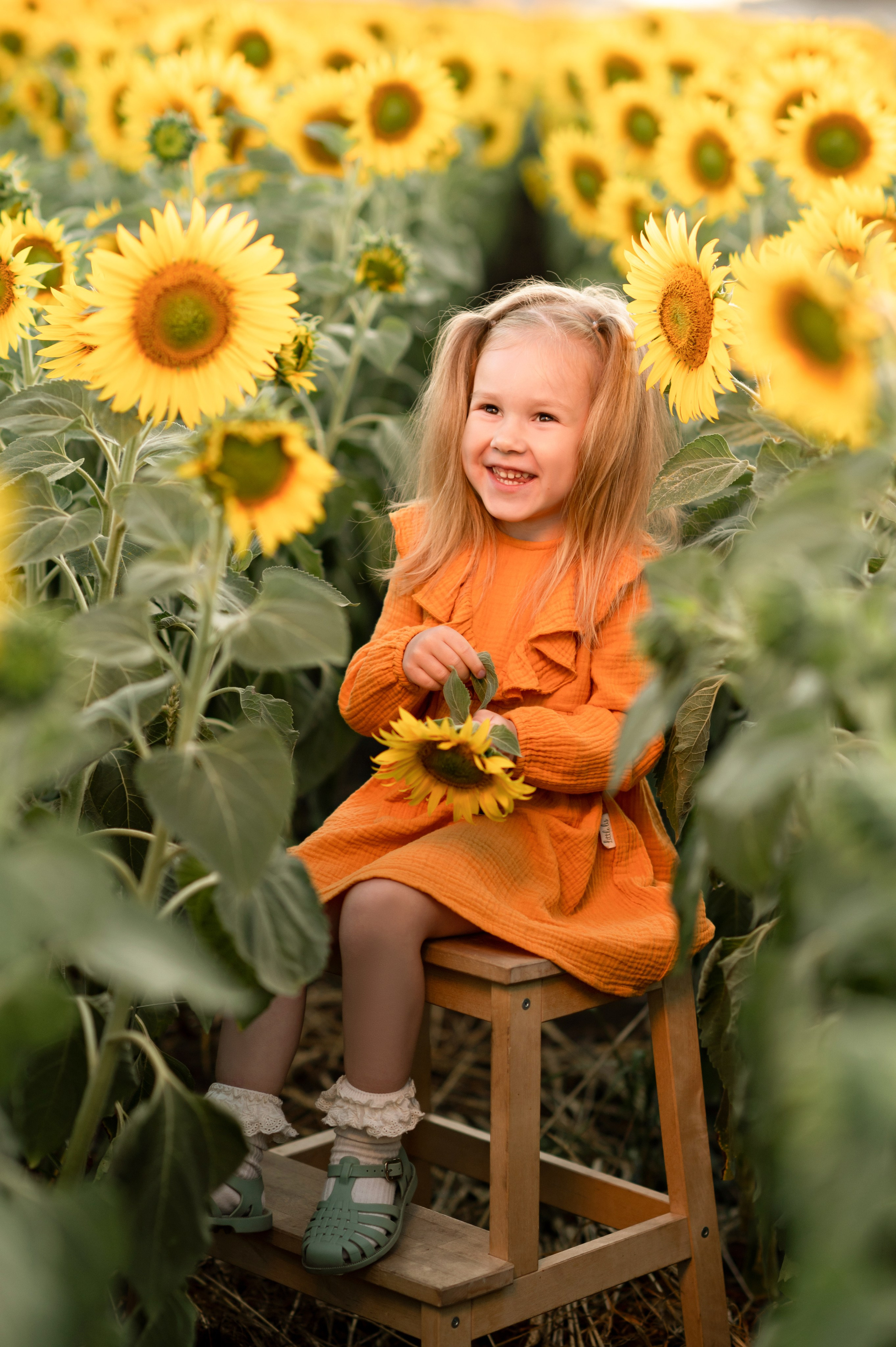 Подсолнухи. Семейный фотограф в Красноярске Надежда Кошелева