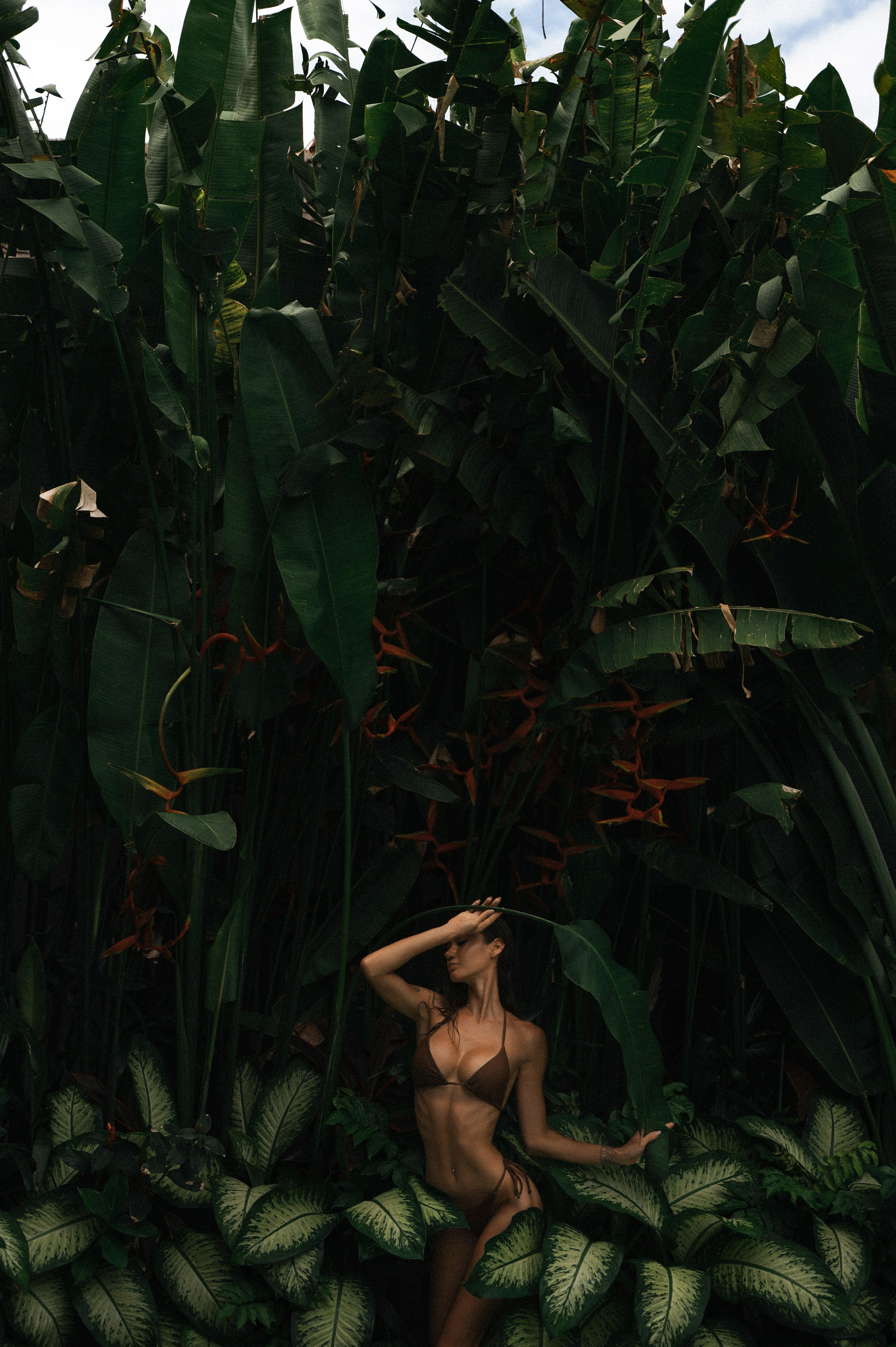 Портфолио. Фотограф Татьяна Кудряшова