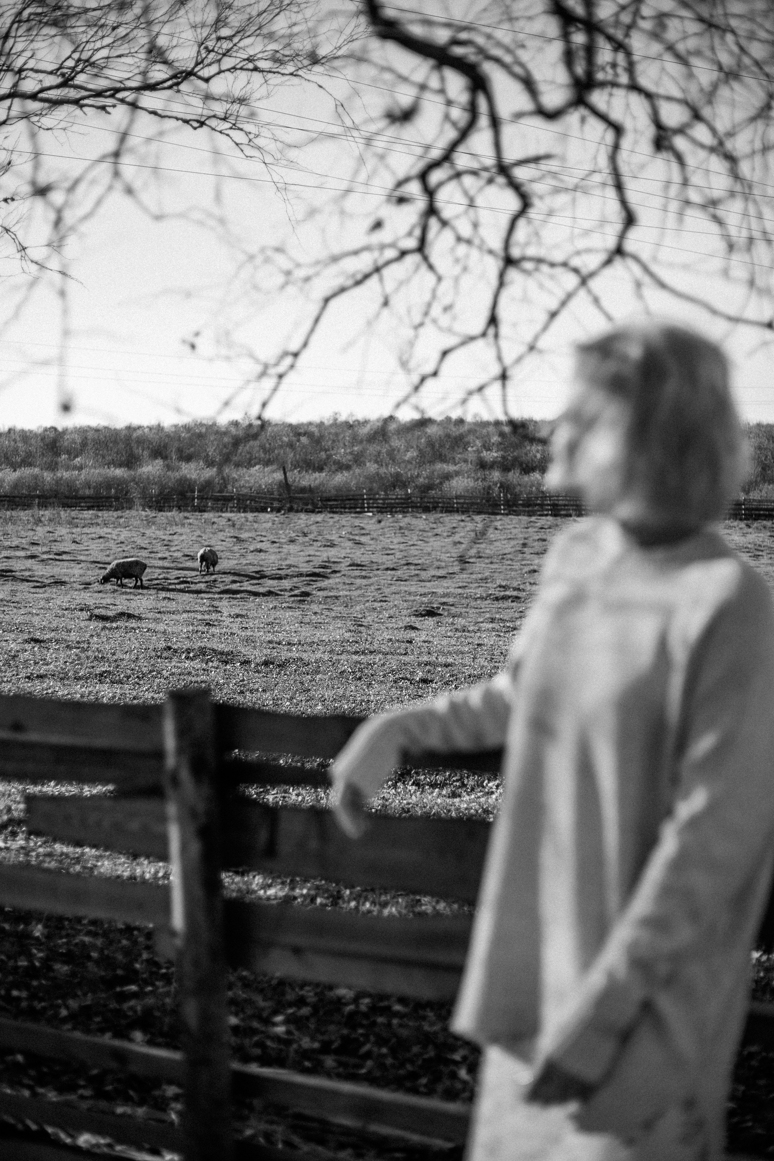 Любовь…. Анастасия Гольнева