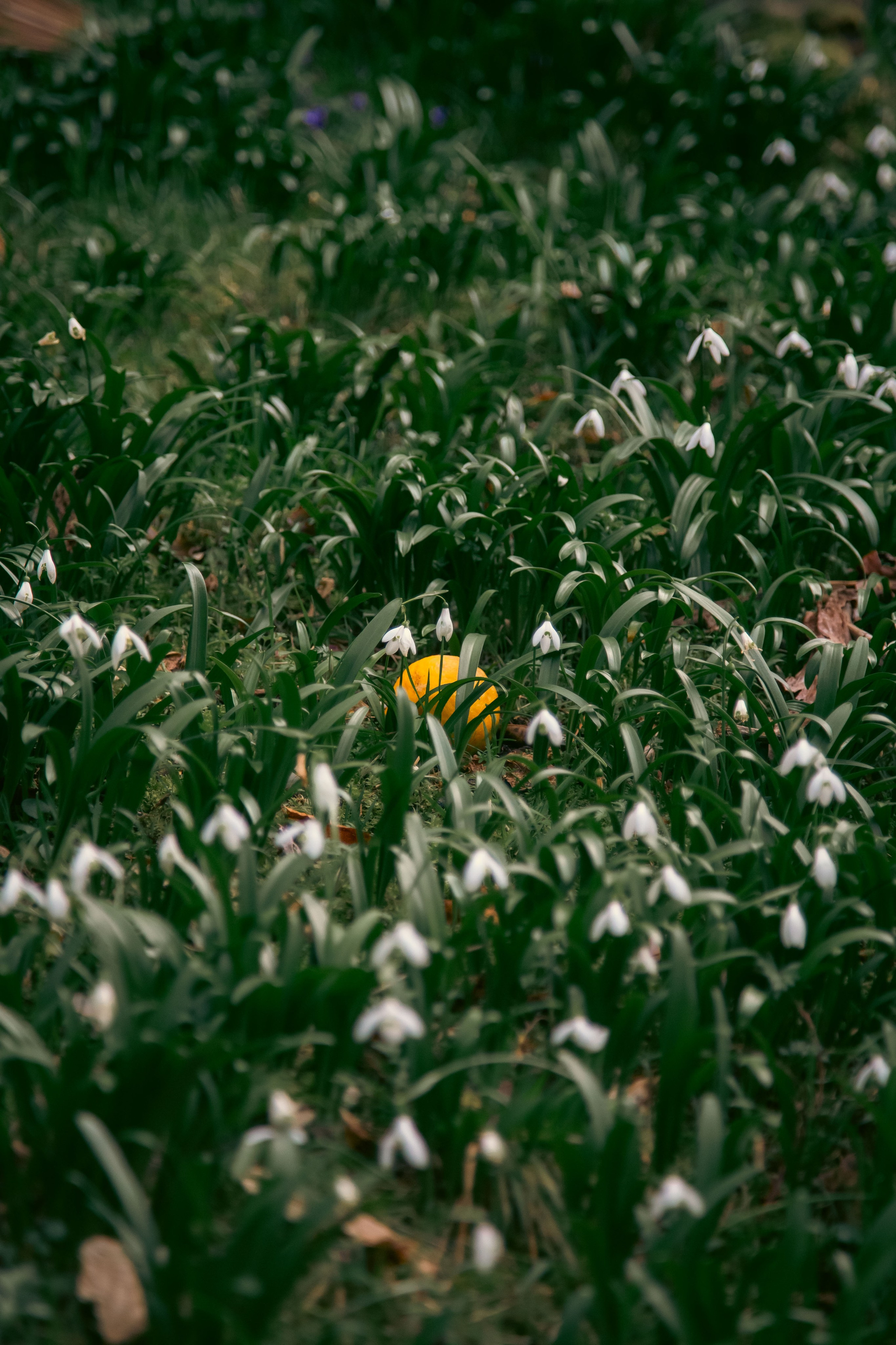 Batumi. Dmitriy [KCCC] is a pretty cool photographer