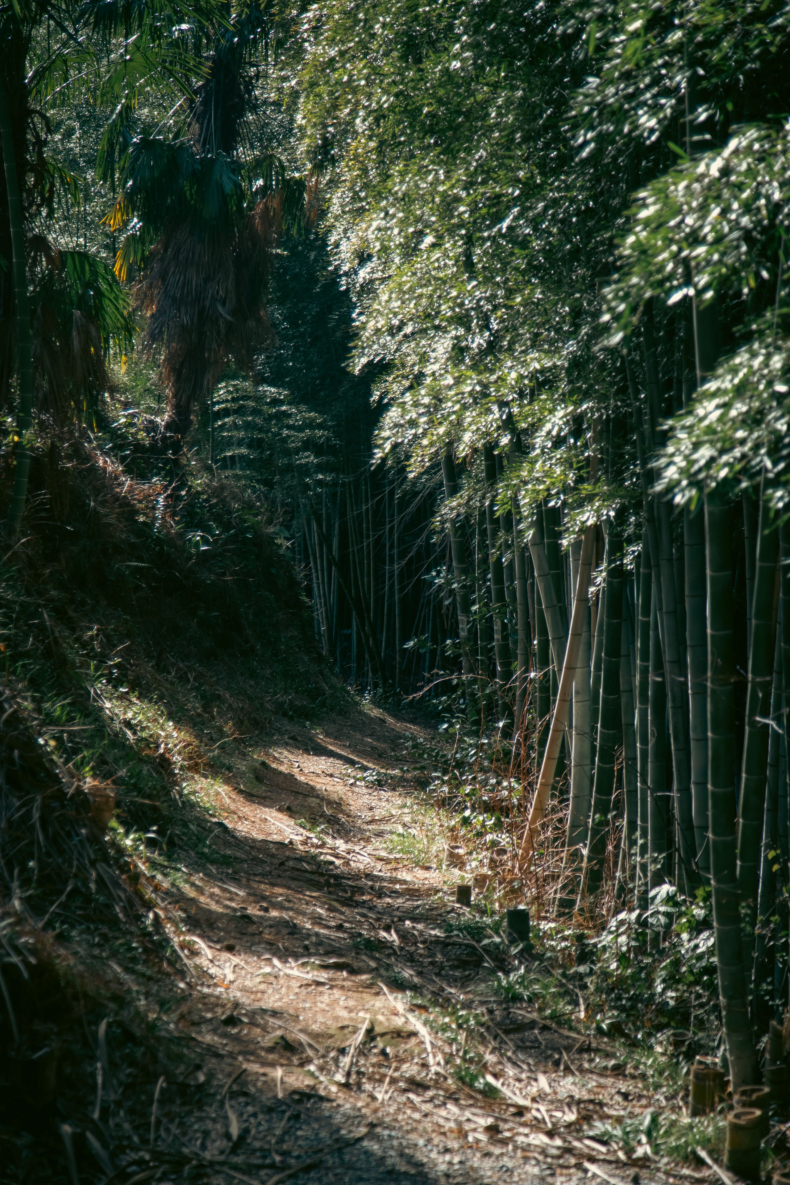 Batumi. Dmitriy [KCCC] is a pretty cool photographer