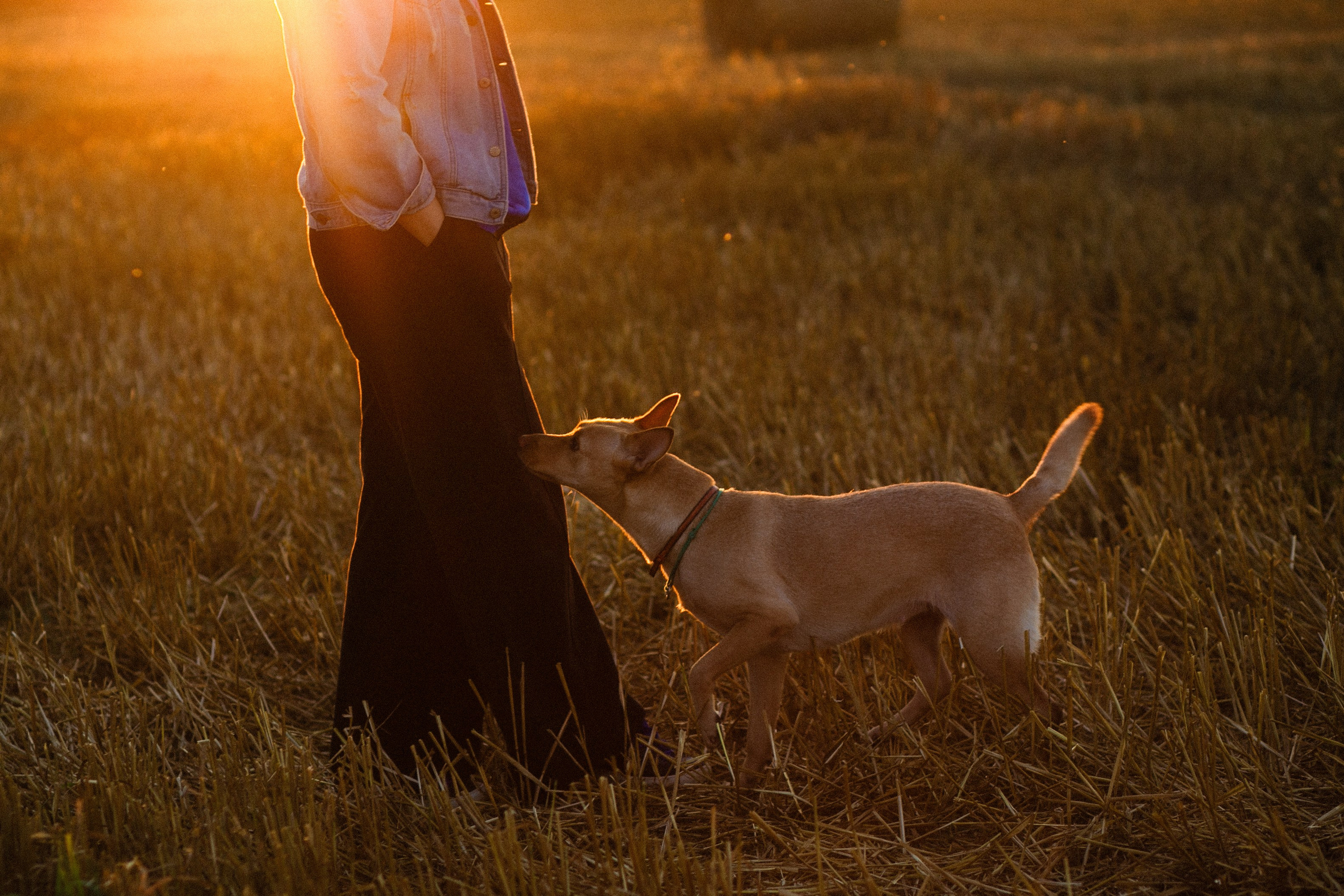 Нина и Бетти. Портретный фотограф Мария Шарко