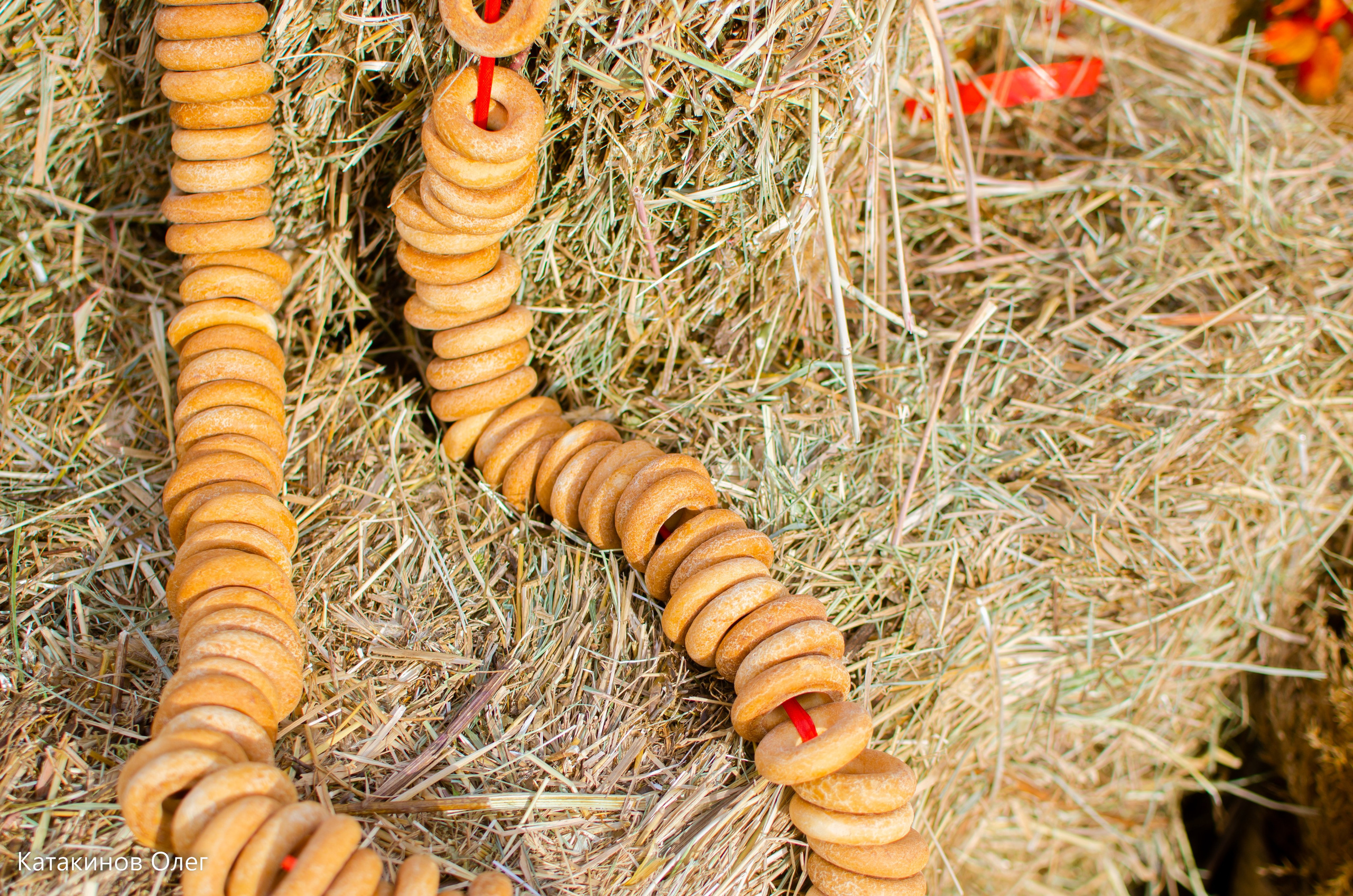 Масленица 2024. Олег Катакинов| Репортажный фотограф в городе у моря (Владивосток)