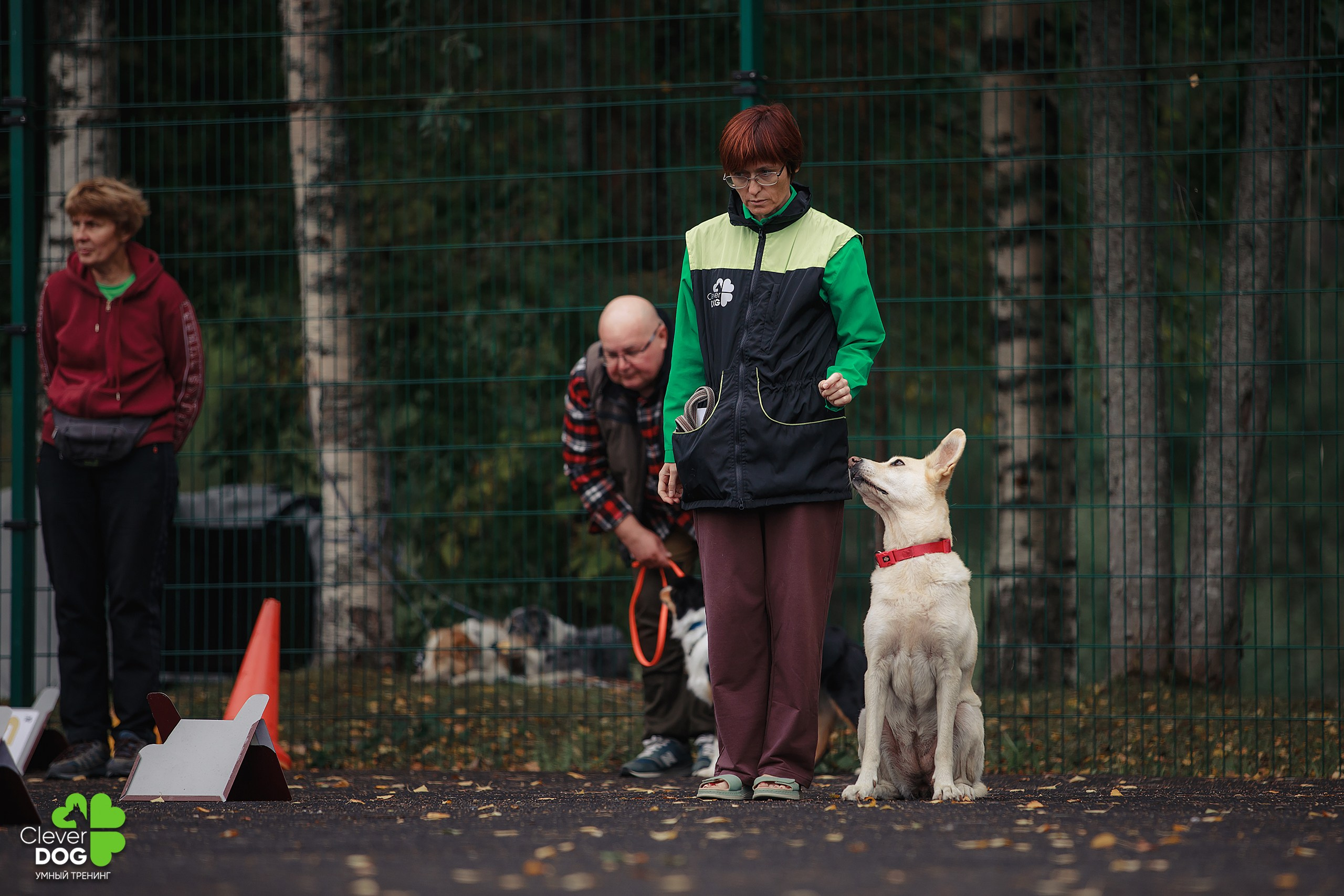 Кинологический лагерь CleverDog, 2024. Фотограф-анималист Mary Mart — Москва, Питер