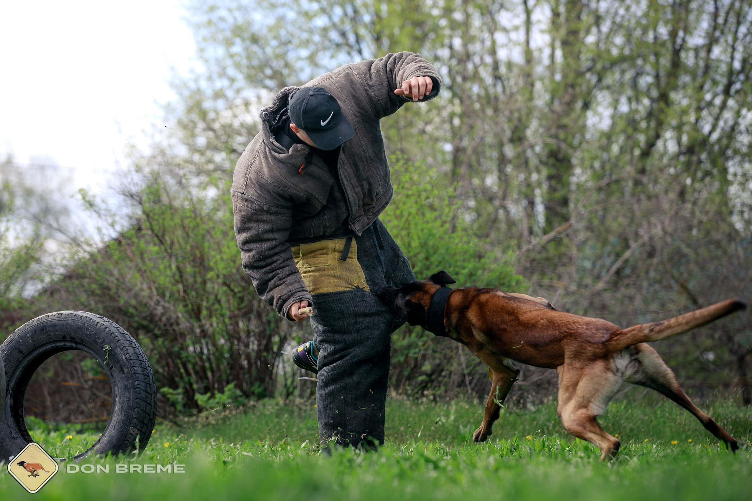 Семинар для фигурантов, день 2. Фотограф-анималист Mary Mart — Москва, Питер