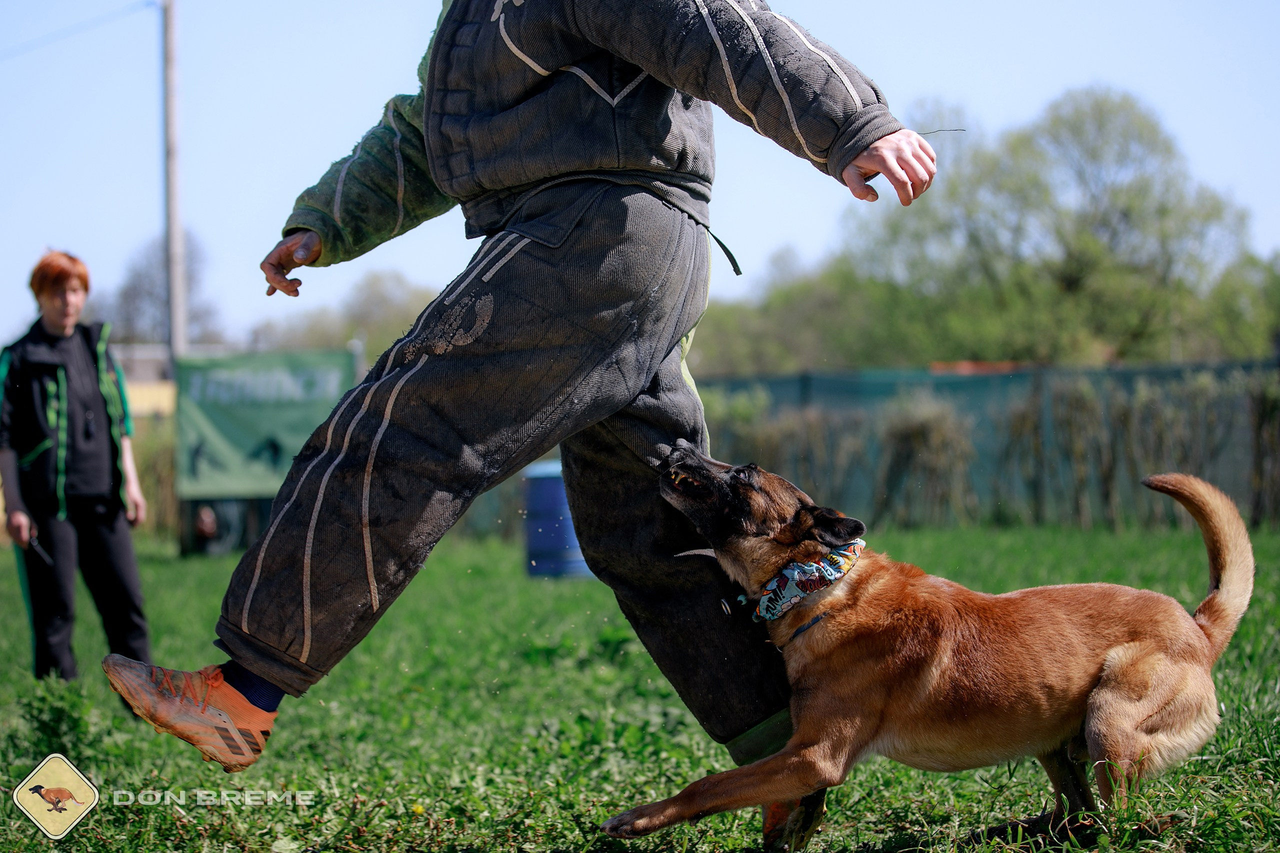 Семинар для фигурантов, день 3. Фотограф-анималист Mary Mart — Москва, Питер