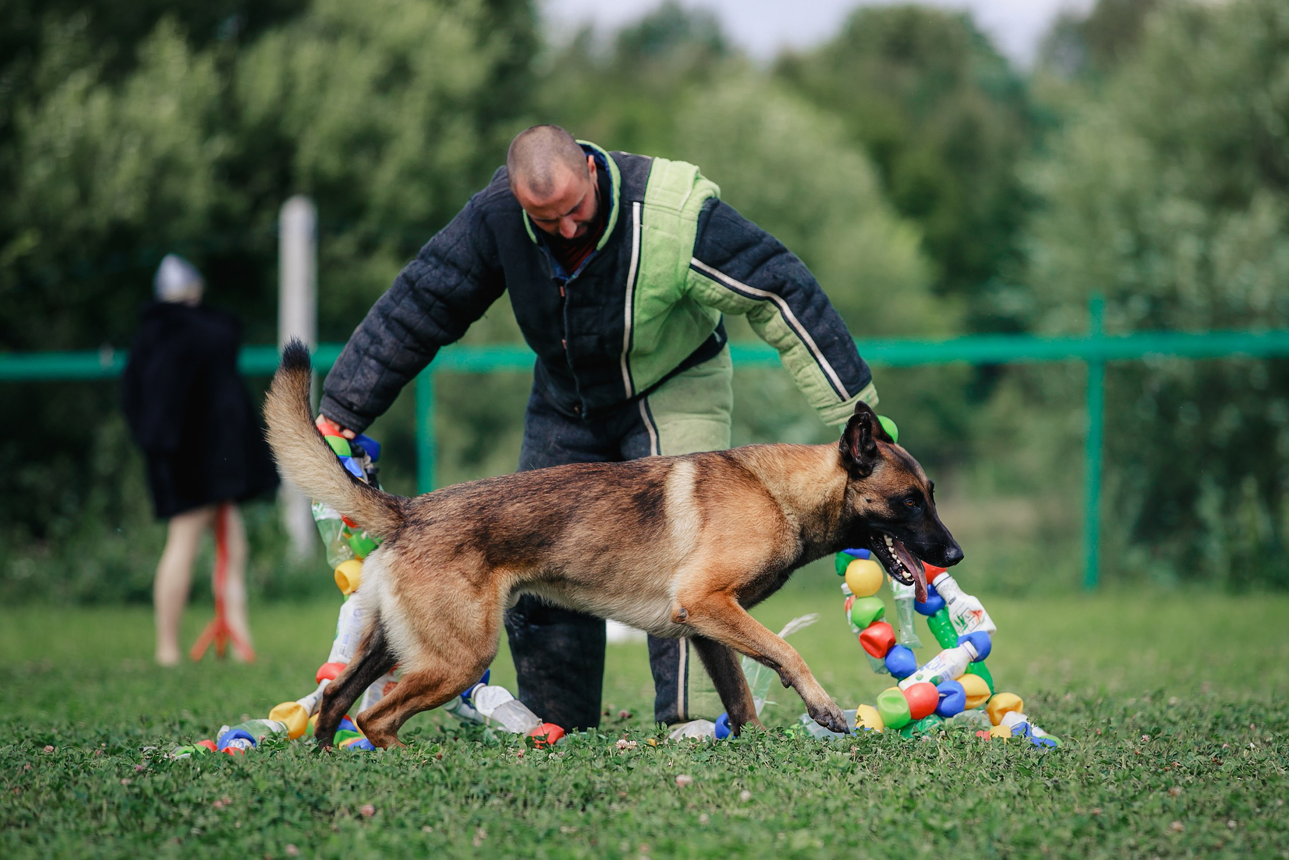Мондьоринг М1, М2, М3, Вологда. Фотограф-анималист Mary Mart — Москва, Питер