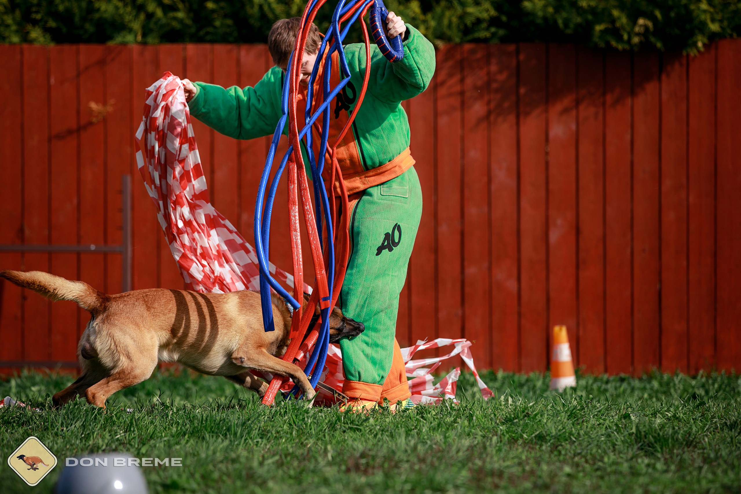 Семинар для фигурантов, день 2. Фотограф-анималист Mary Mart — Москва, Питер