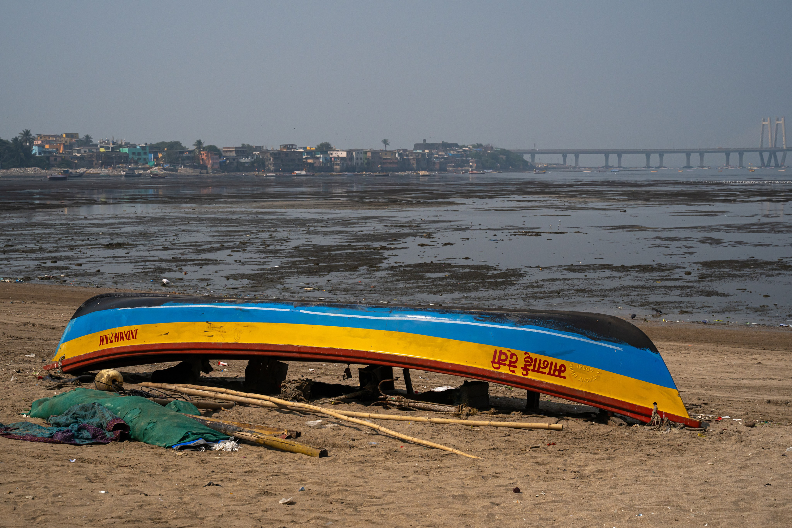 India 2024-2025. Dimitri Bakhtadze photographer