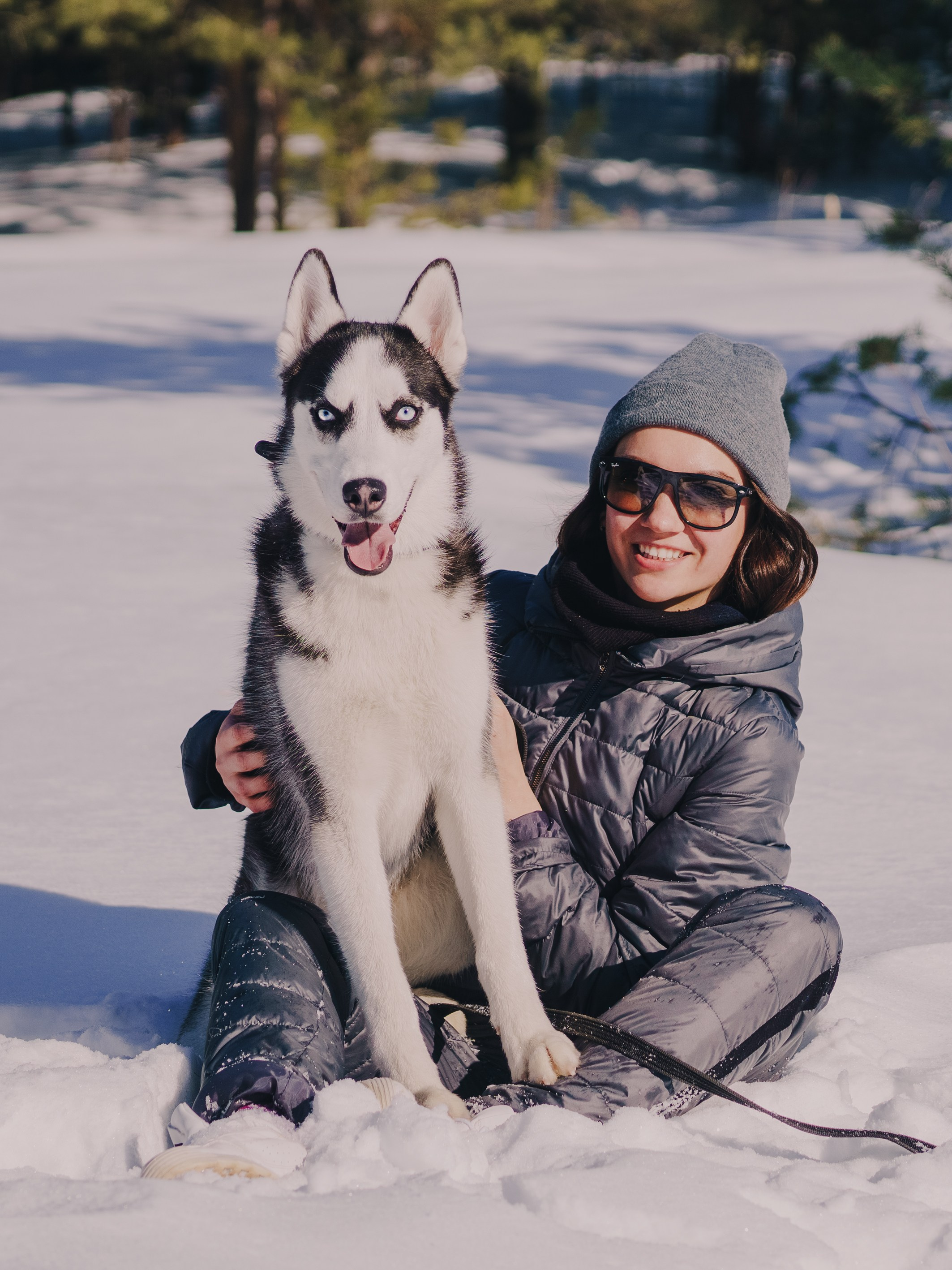 Life with dog. Saamill