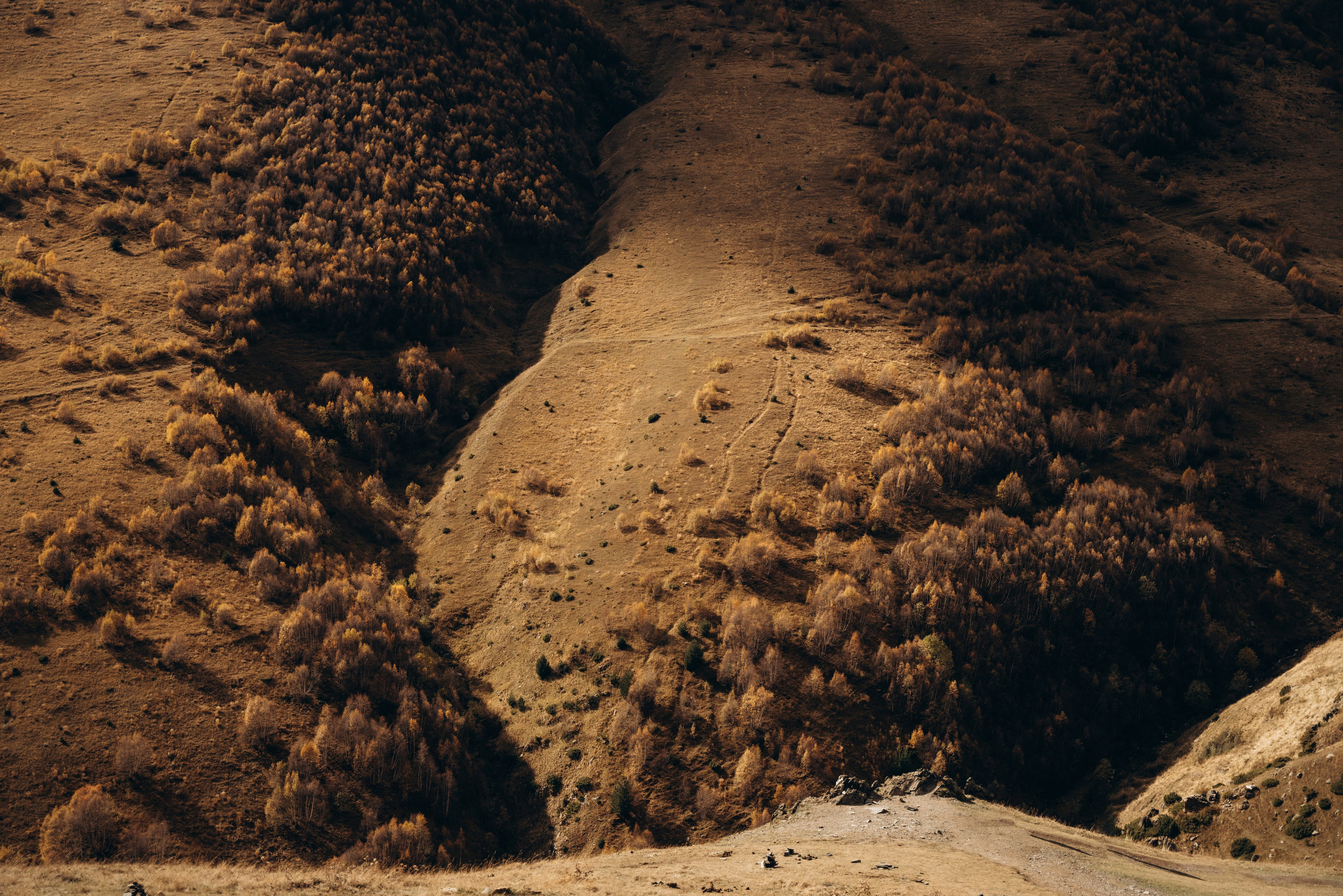 Грузия. Фотограф в Минске — Мария Миллс