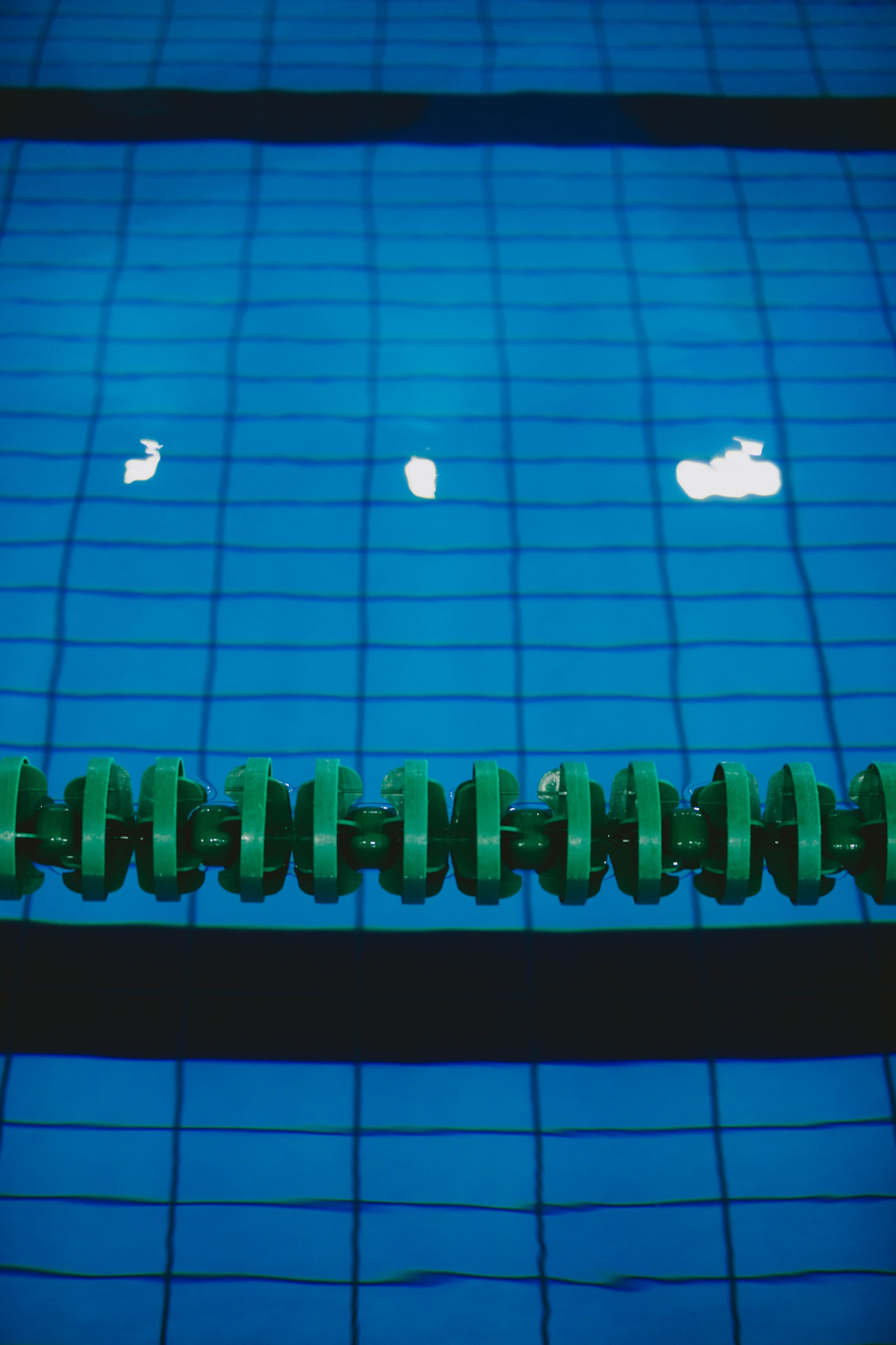 Соревнования школы плавания SWIM ROCKET Акватория ЗИЛ. Александра Мельниченко/ Бегающий фотограф