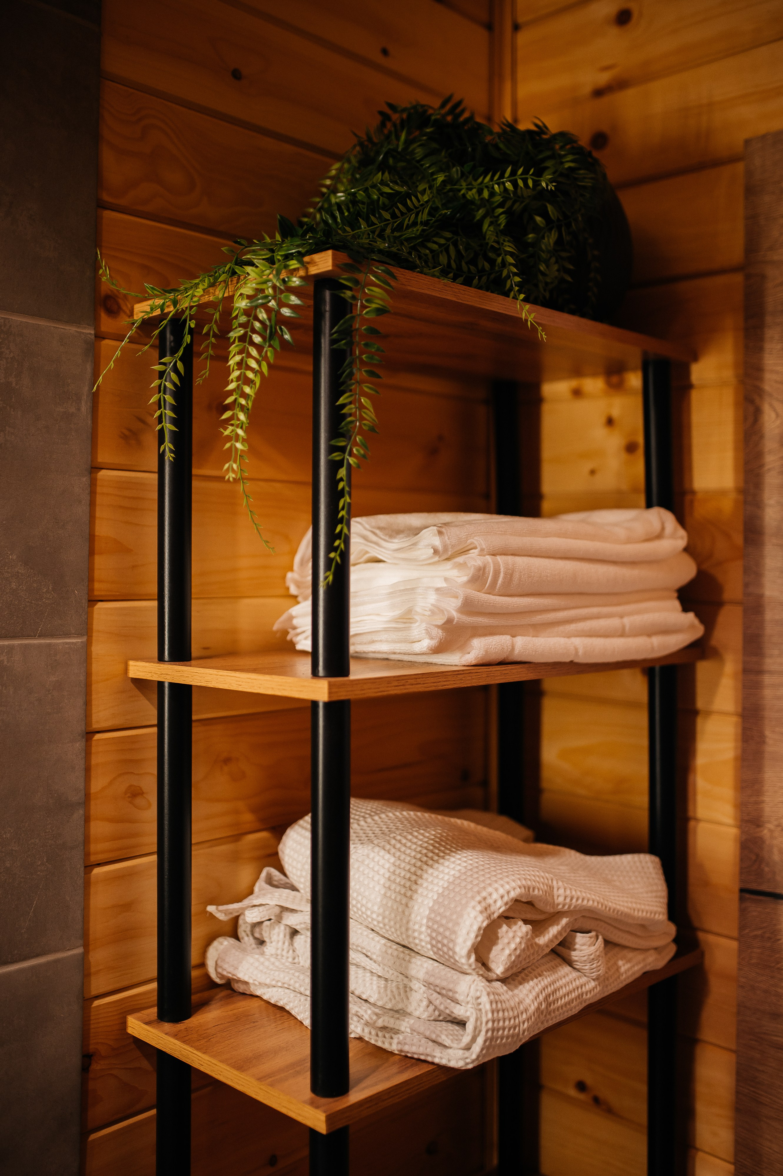 База «Сибирика». Свадебная  съемка на Алтае