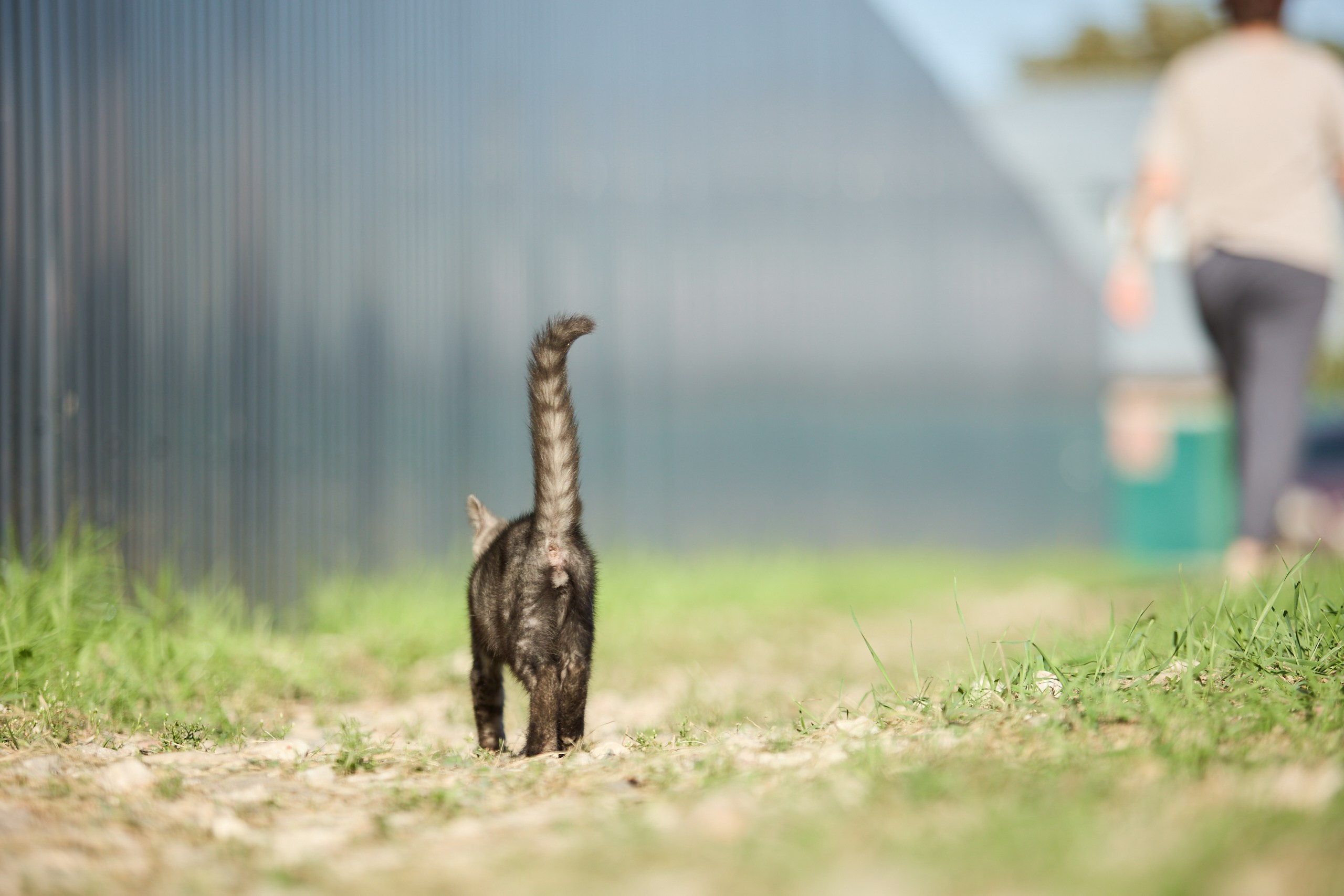 Пиар. Фотограф Ирина Астор