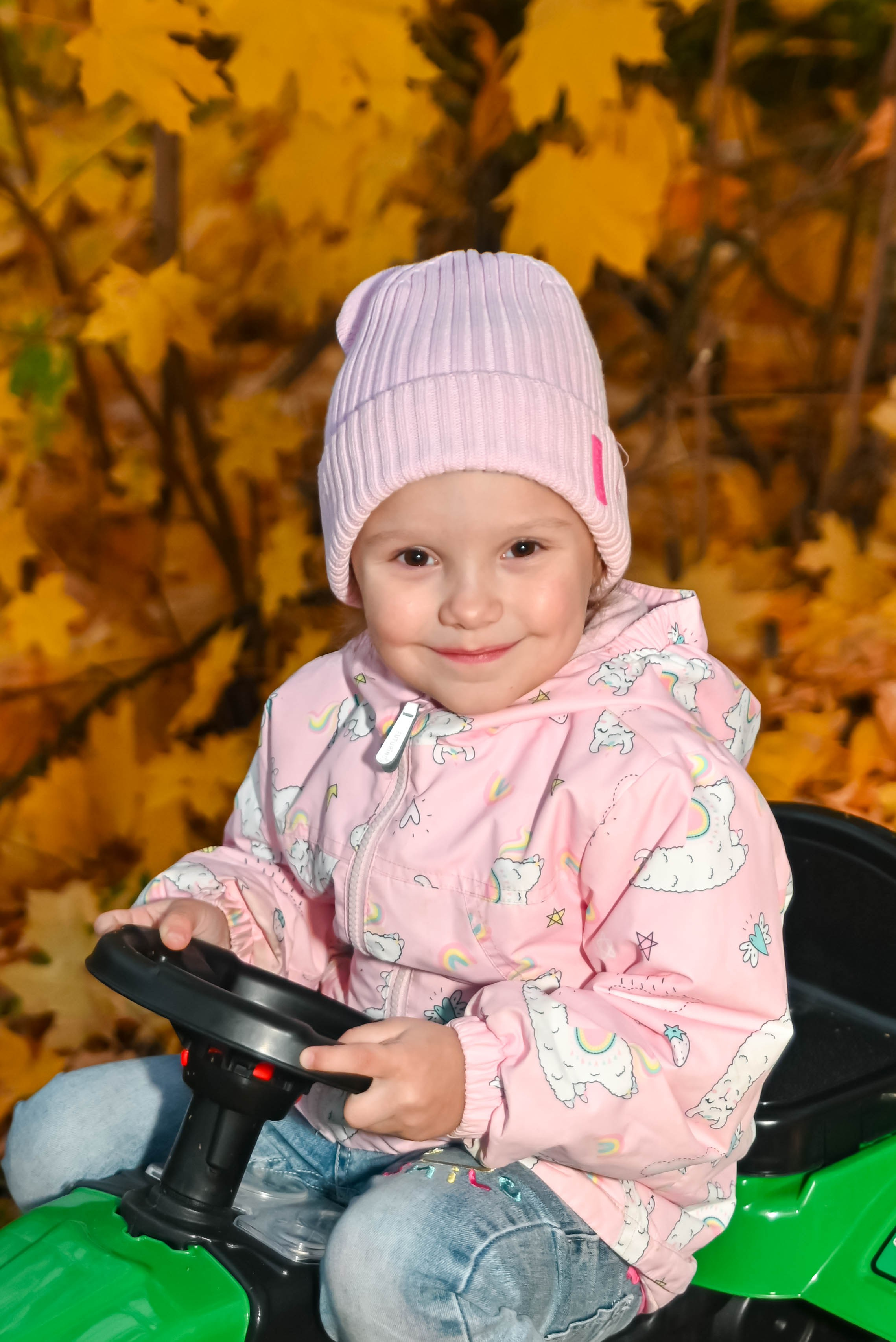 Золотая осень. Выпускные альбомы для детских садов Санкт-Петербург