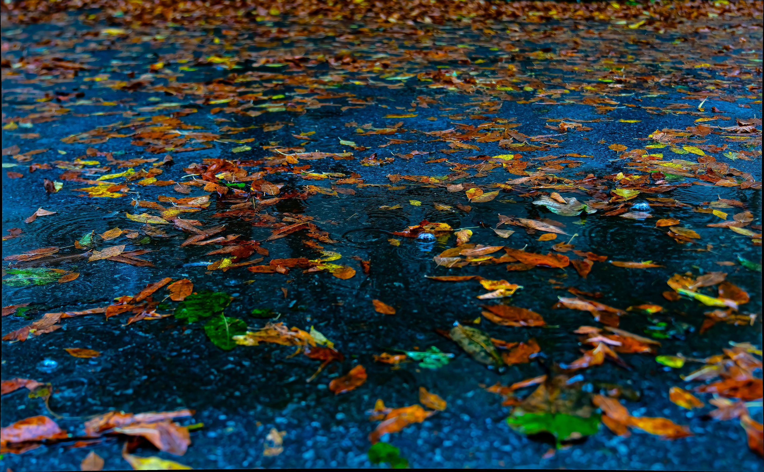 Контакты. Фотограф во Владивостоке