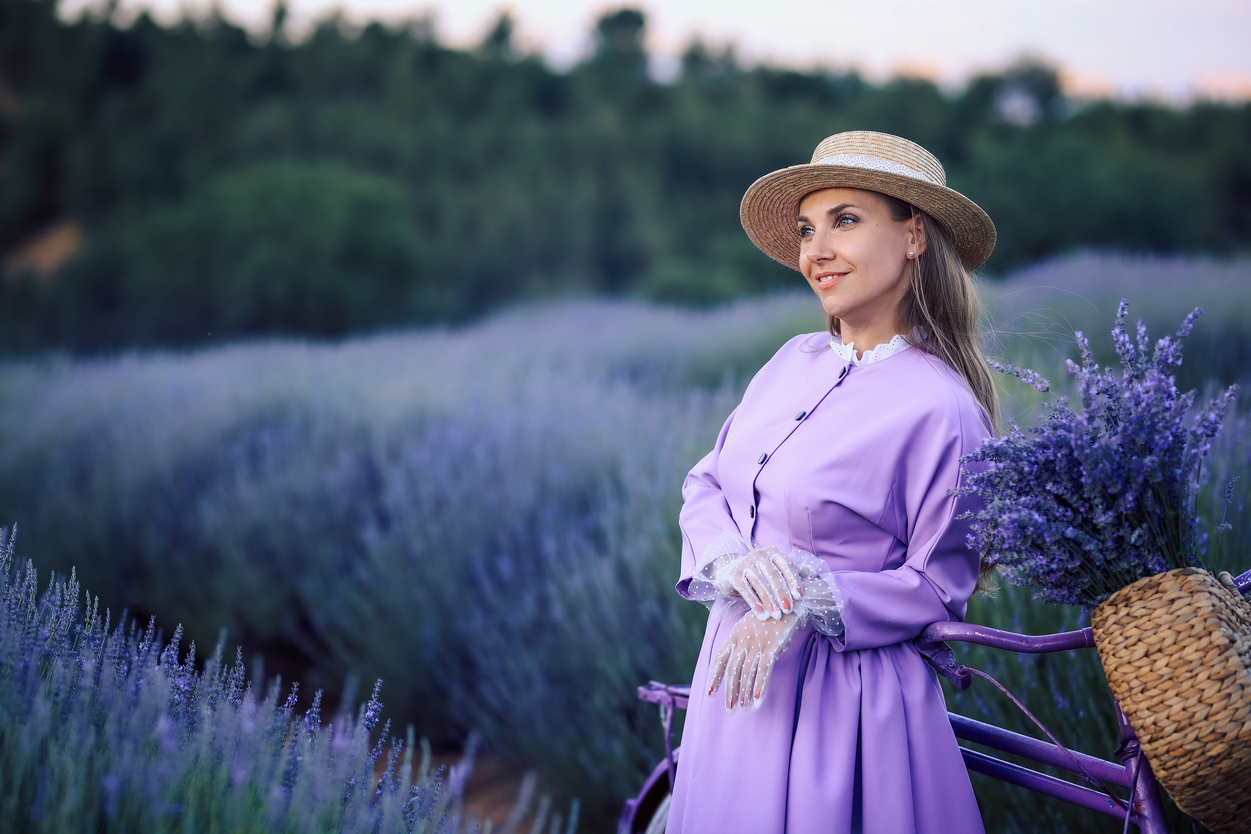 Lavender fields in Turkey