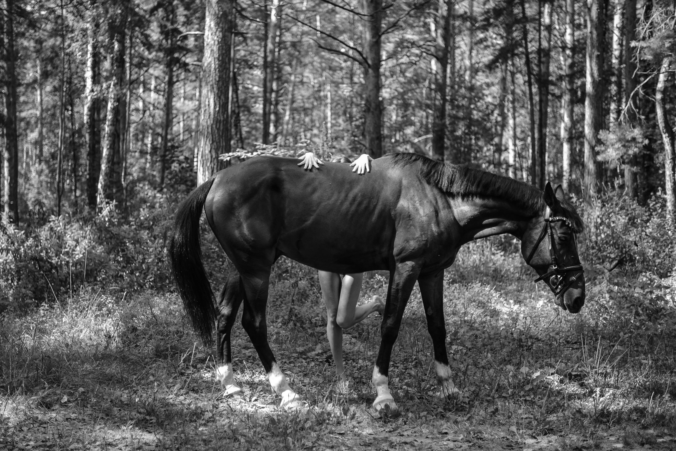 Art-галерея. Женский фотограф в Новосибирске Вячеслав Семакин