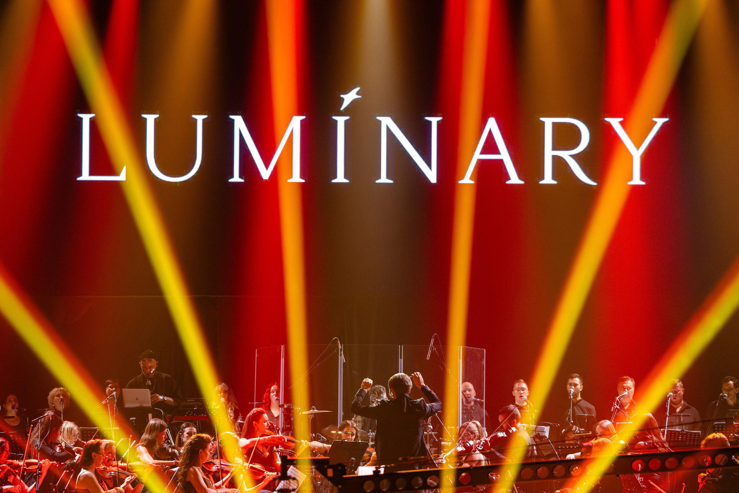 Luminary Баскет-Холл. Руслан Плахтеев