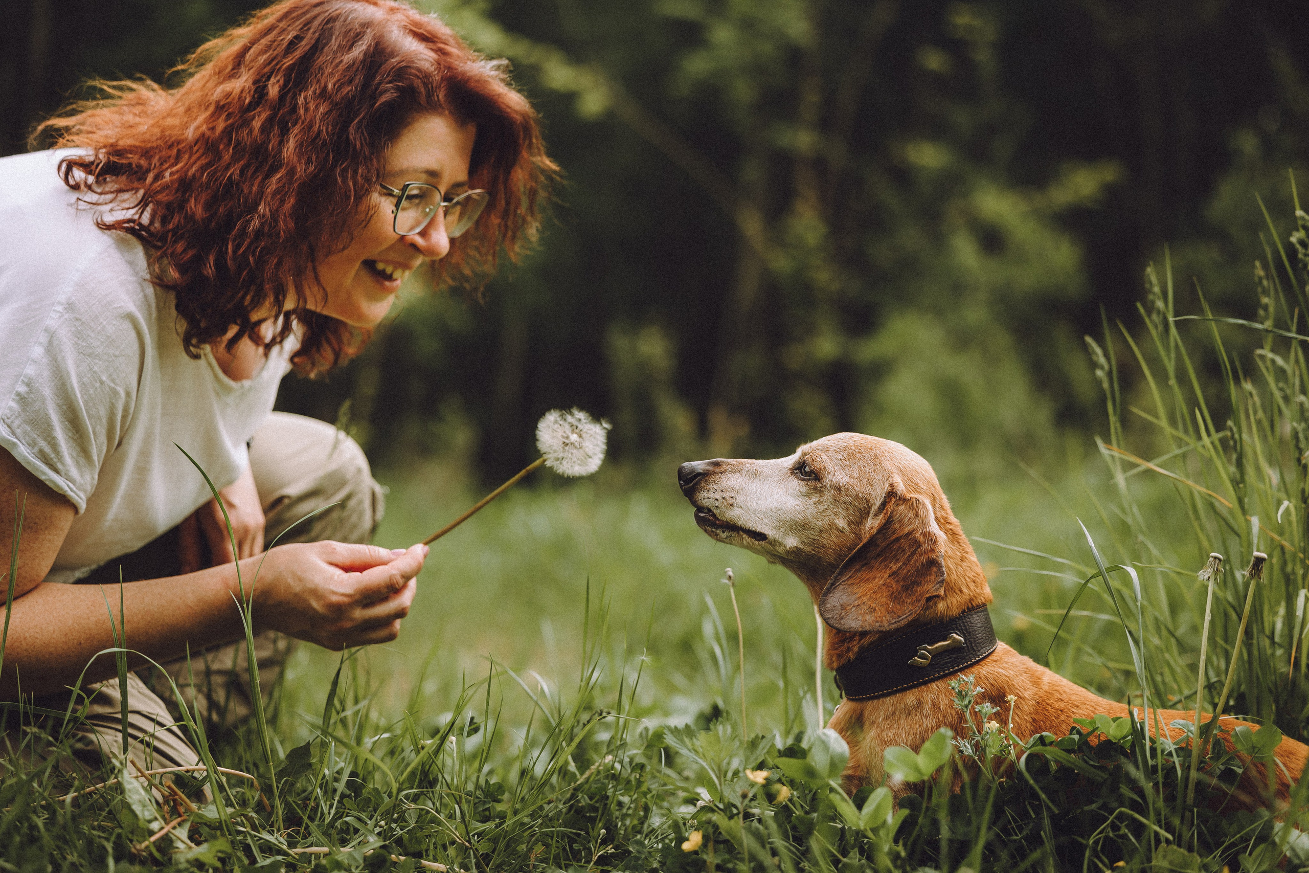 Груша, Данни, Фунтик и их семья