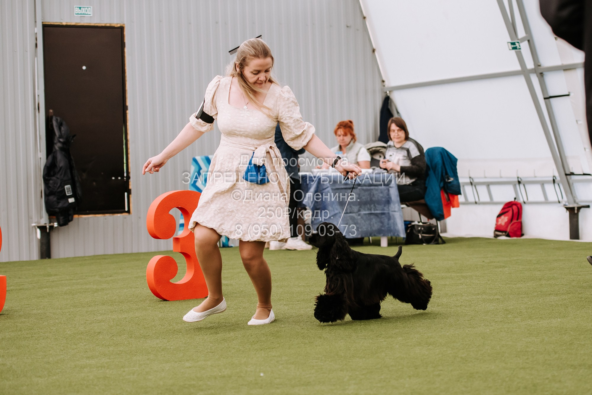 Выставка собак Красноярск 2.06. Фотограф Диана Оленина Красноярск / Братск