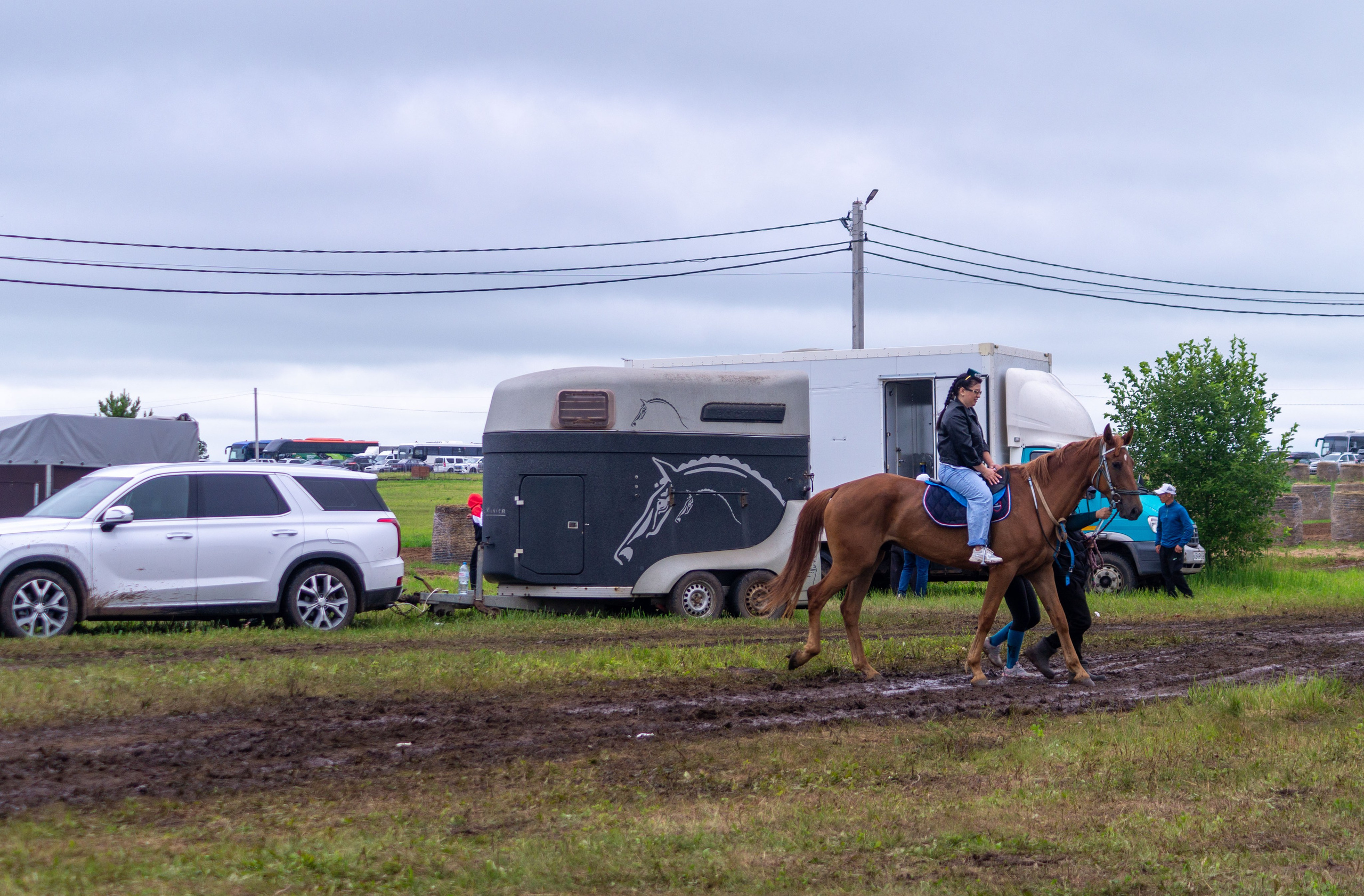 Всероссийский собантуй 2025. Портретный и семейный фотограф Санкт-Петербург