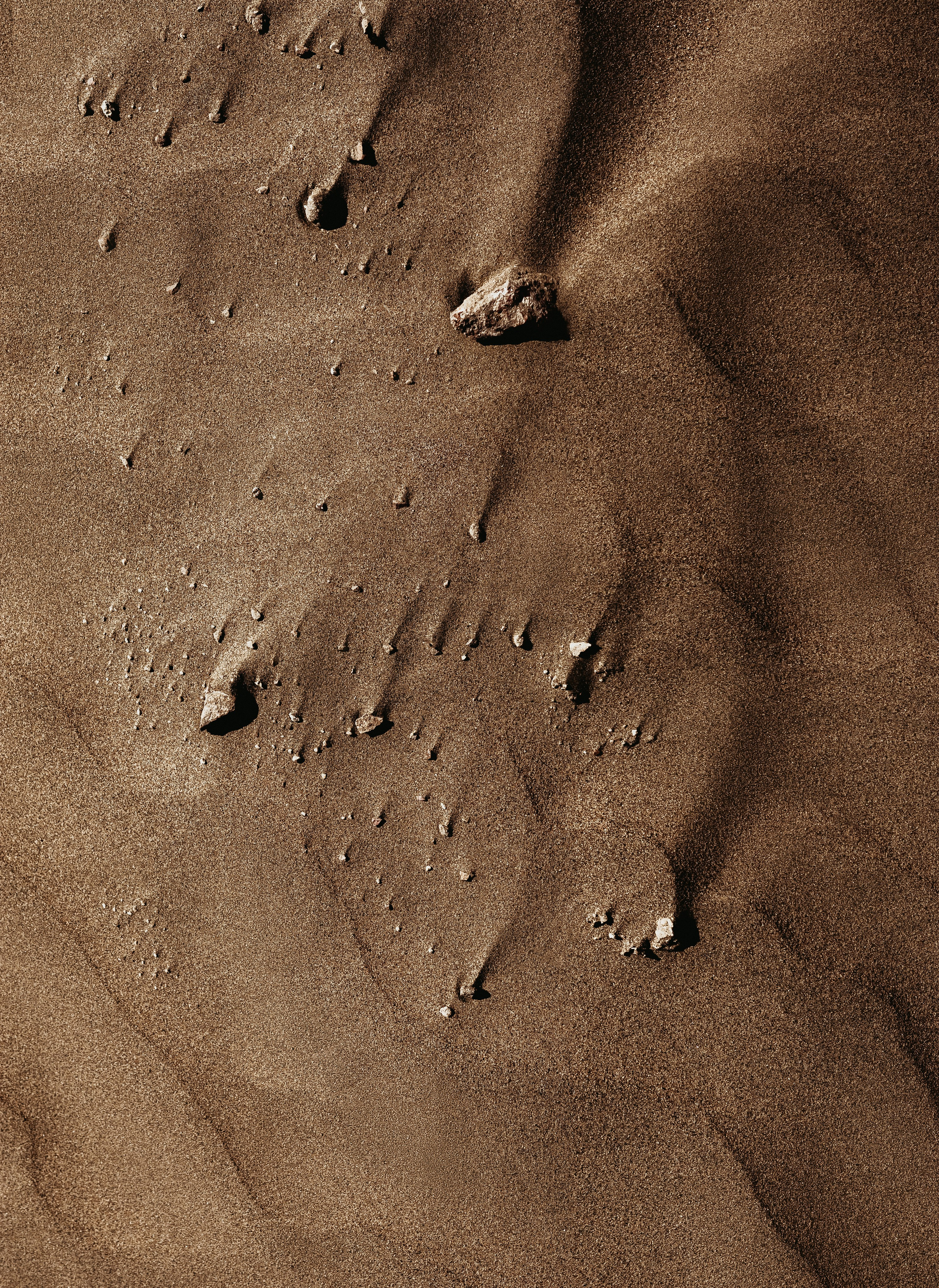 Жизнь. Фотограф Алматы | Весь мир — Никита Колодин