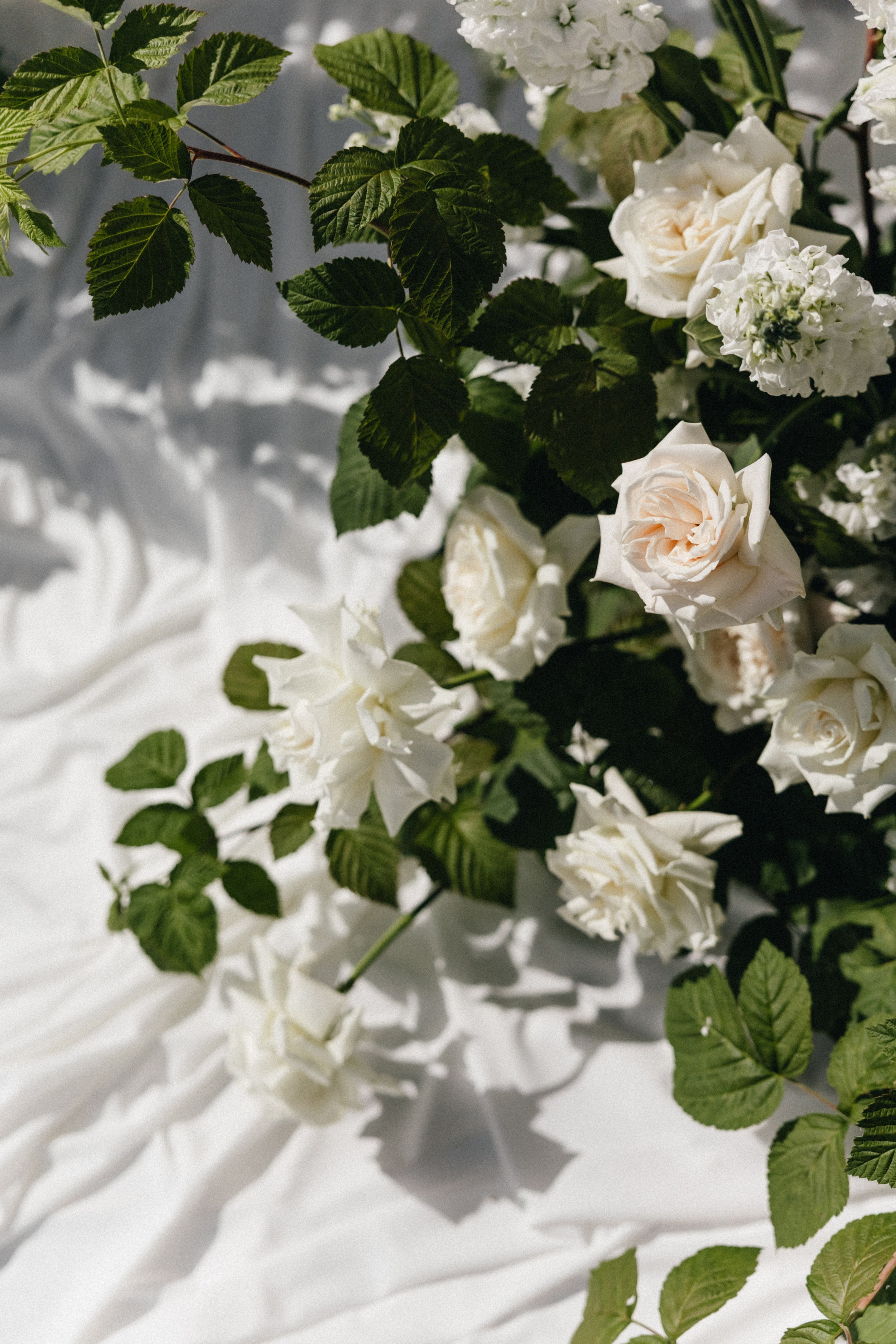 Тимур и Даша СПб. Свадебный и семейный фотограф и видеограф, Крым, Москва, Санкт -Петербург