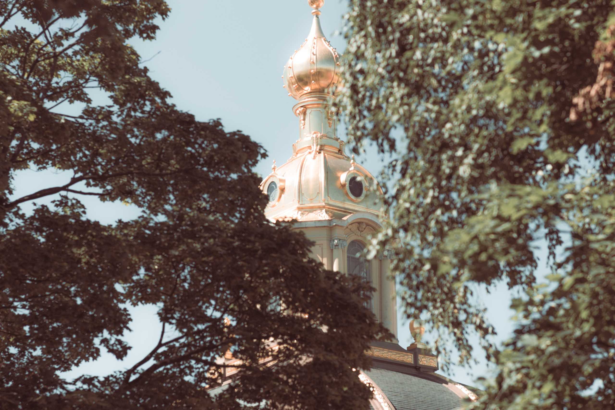 Вид на купол Петропавловского собора — тёплый кадр