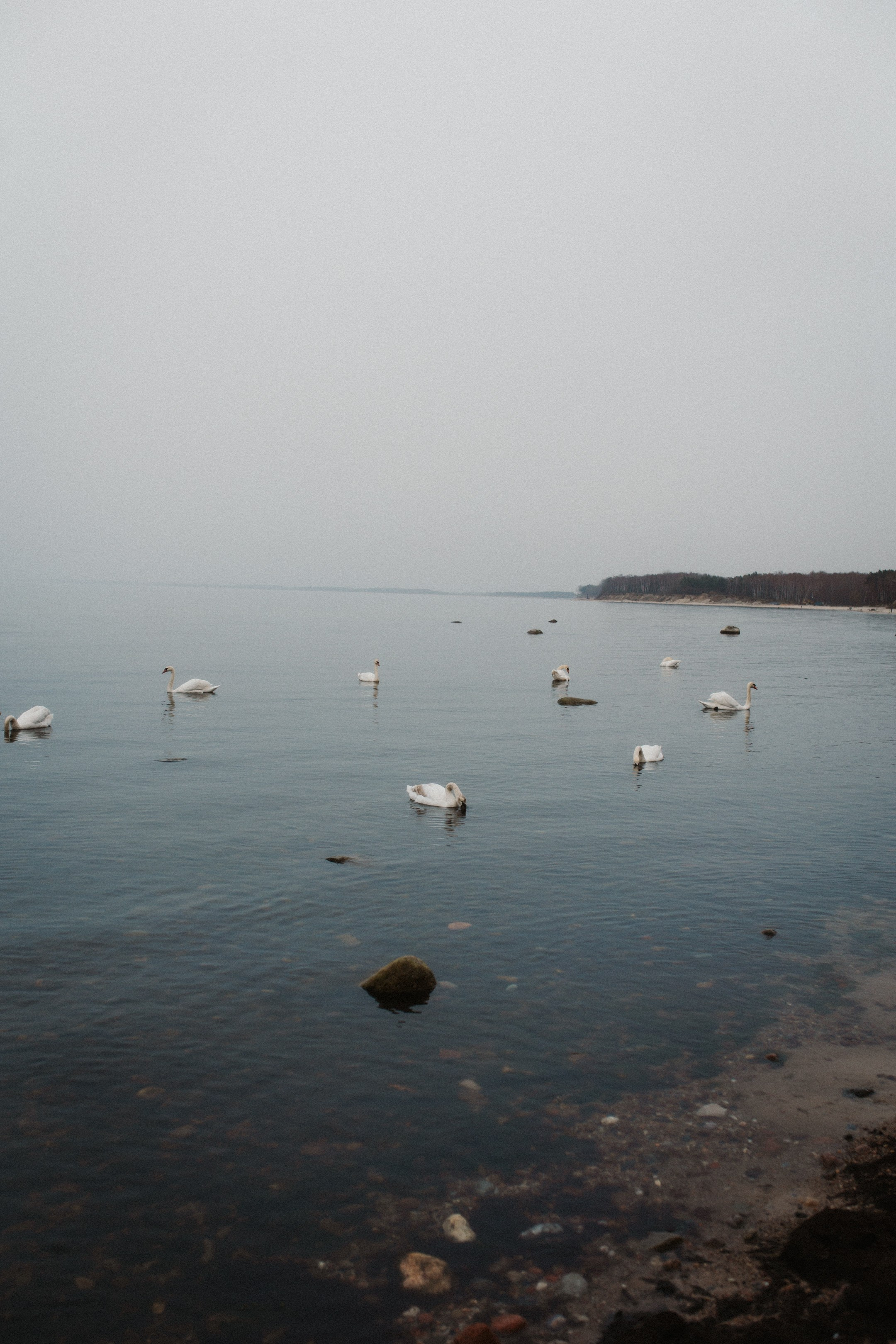 Raya. Свадебный и портретный фотограф в Калининграде и Москве Марк Юдинцев