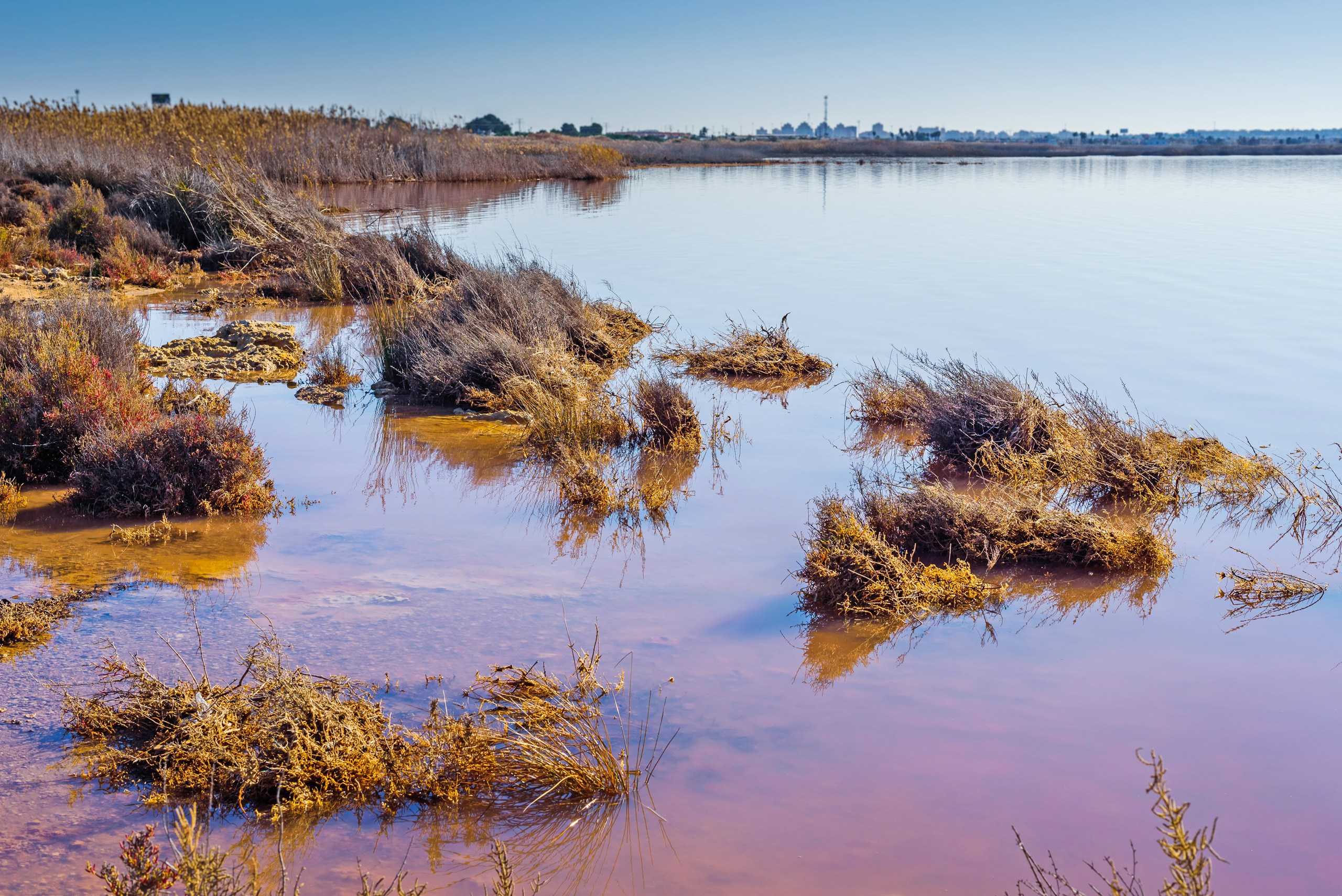 Пейзажная фотография. Авторские стильные фотокартины