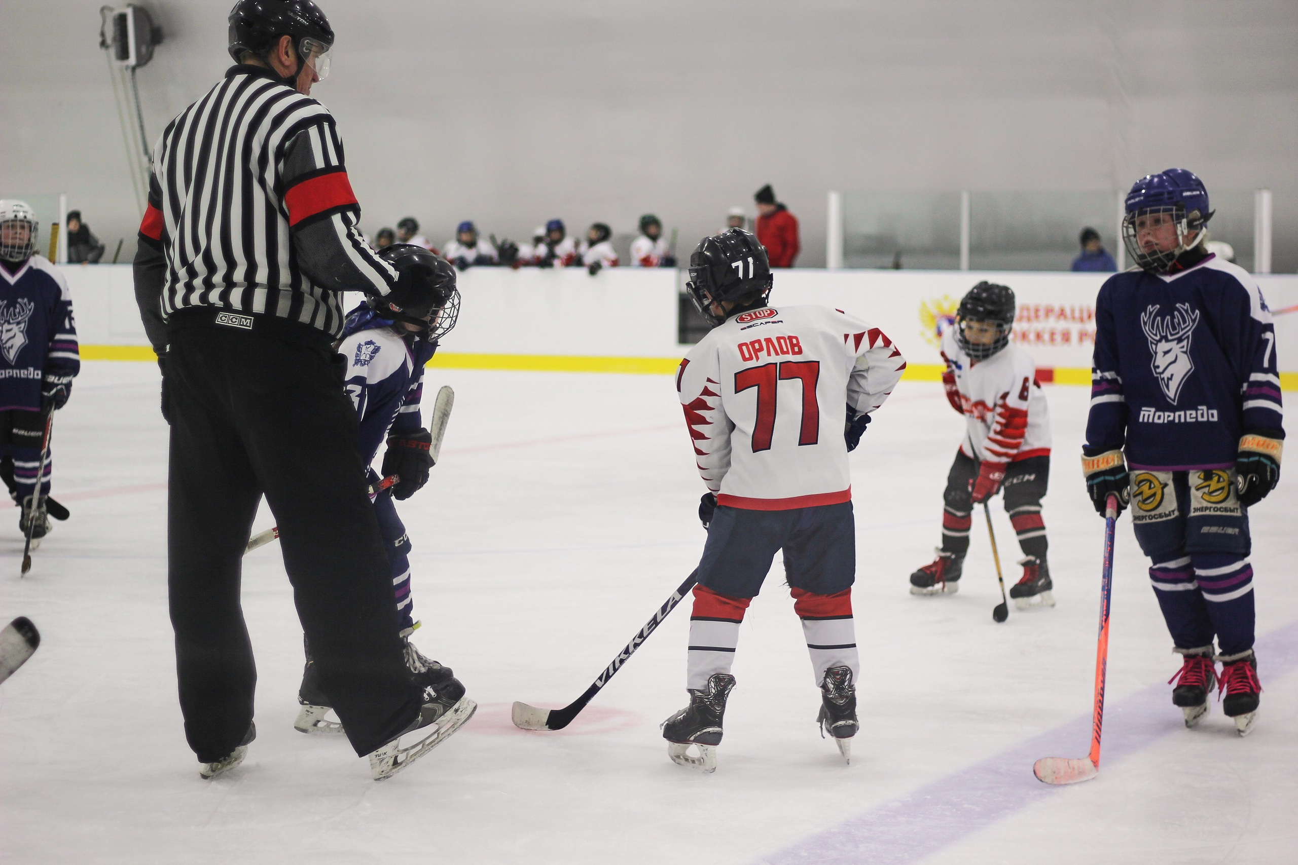 TORPEDO. Фотограф Мария Сивохина