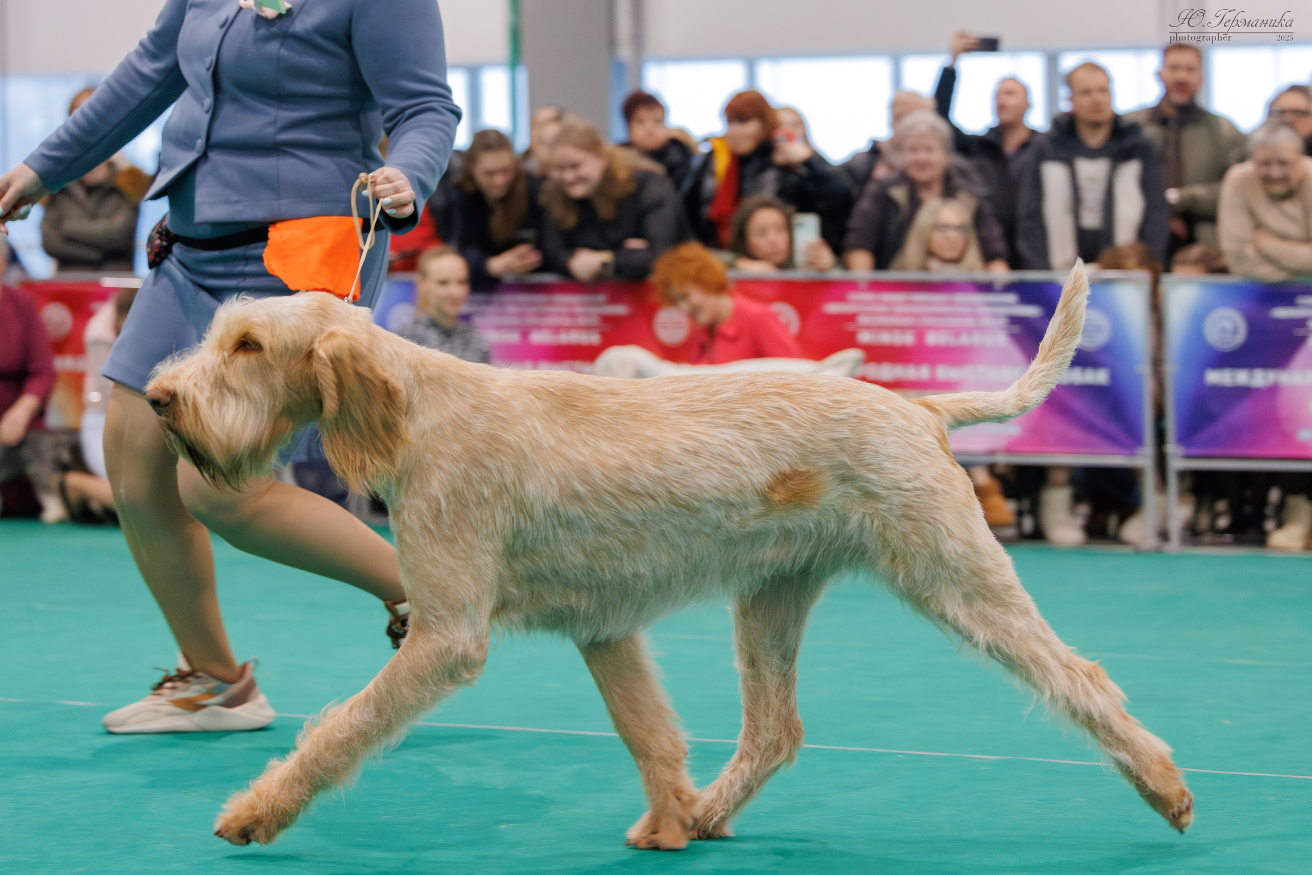 Минск 1-2.03.2025. Фотограф-анималист Юлия Германика