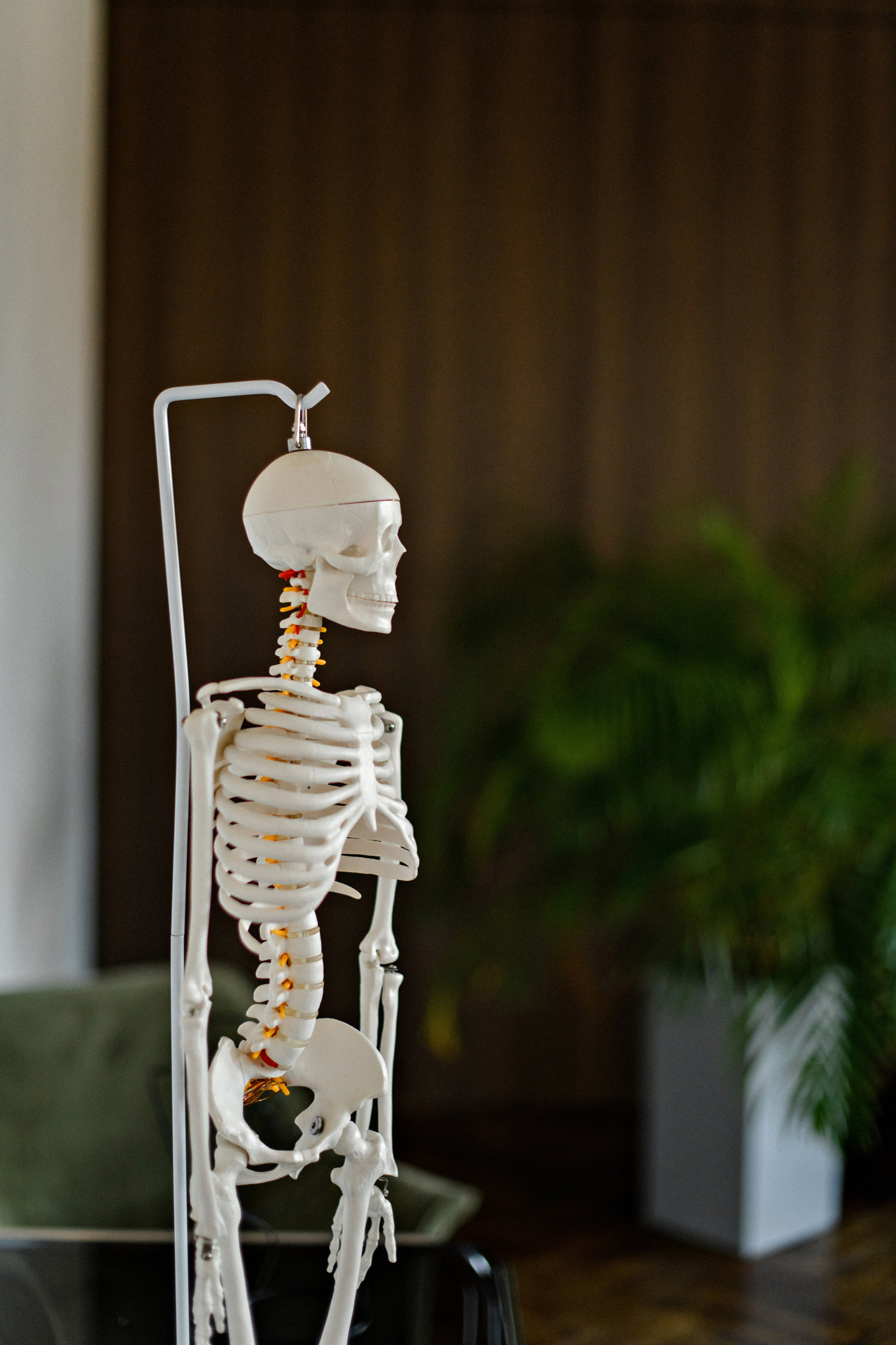 Остеопат. Свадебный фотограф в Санкт-Петербурге София Шубик