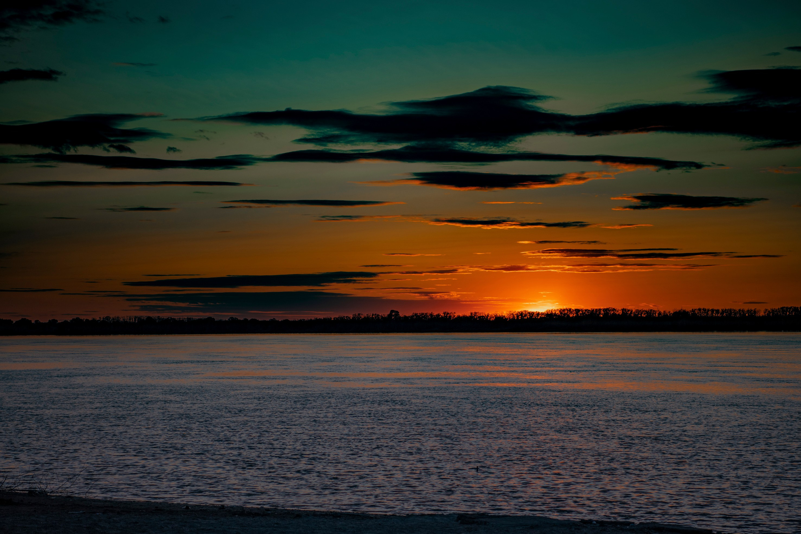 Природа. Команда фотографов Кристины Ивановой