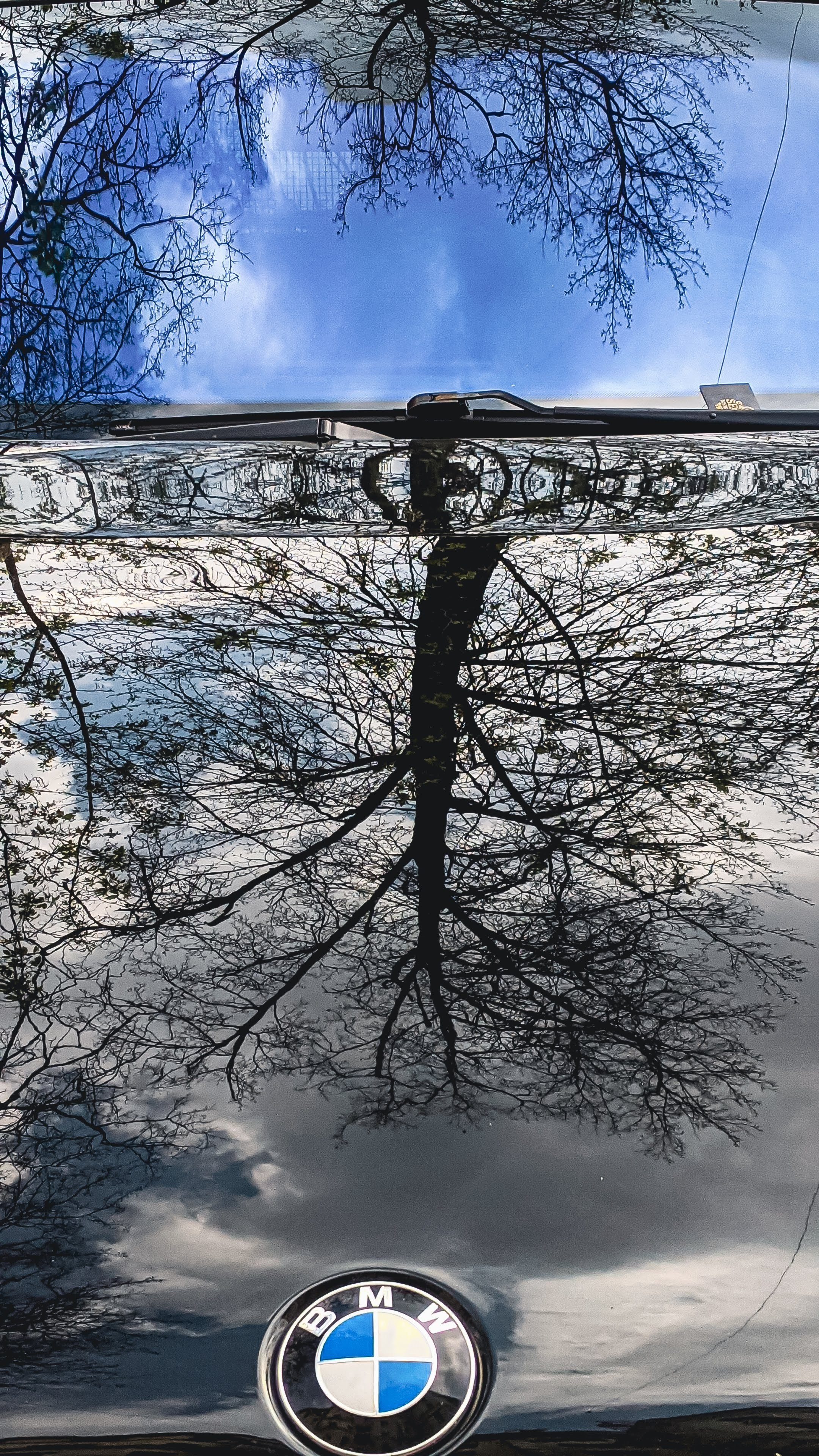 Мобильная фотография. Интерьерный и портретный фотограф в Москве Анна Моногарова